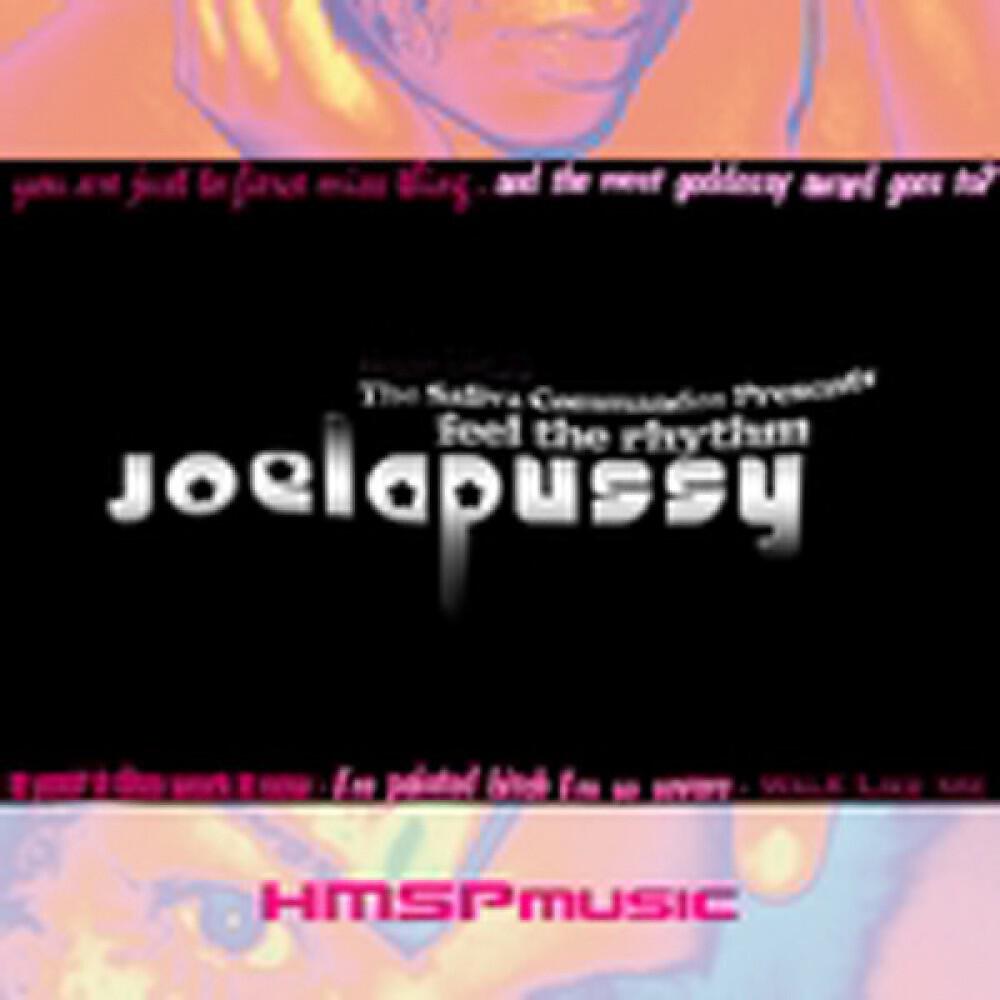 Joelapussy - Feel The Rhythm (Deejay Fatcat Cat Fight Mixxx)