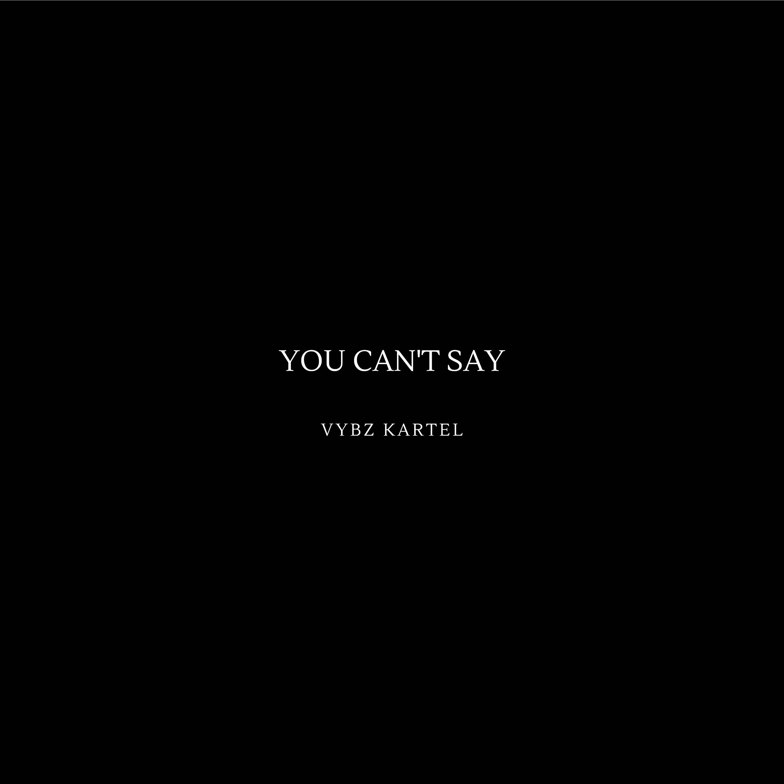 Постер альбома You Can't Say