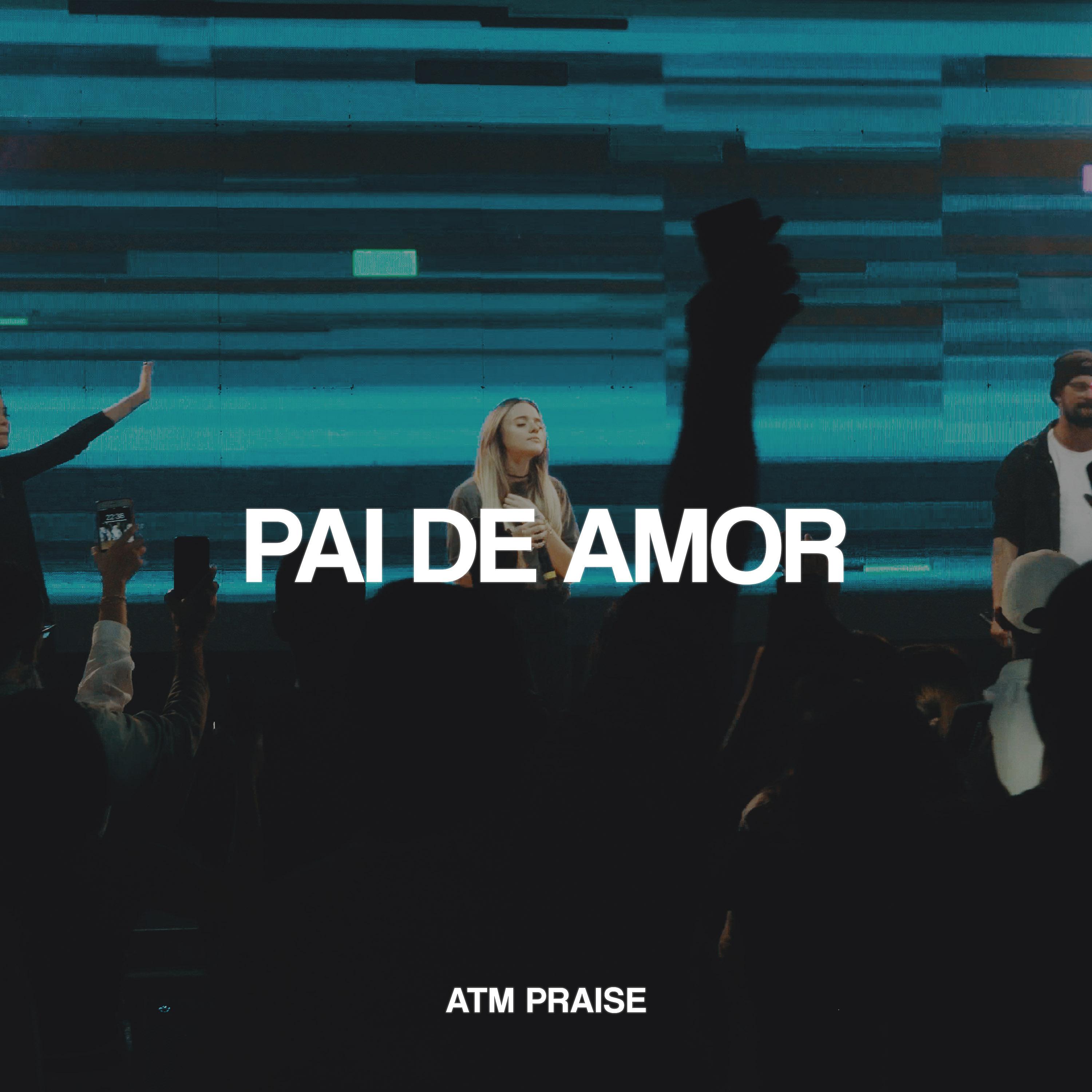 Постер альбома Pai de Amor