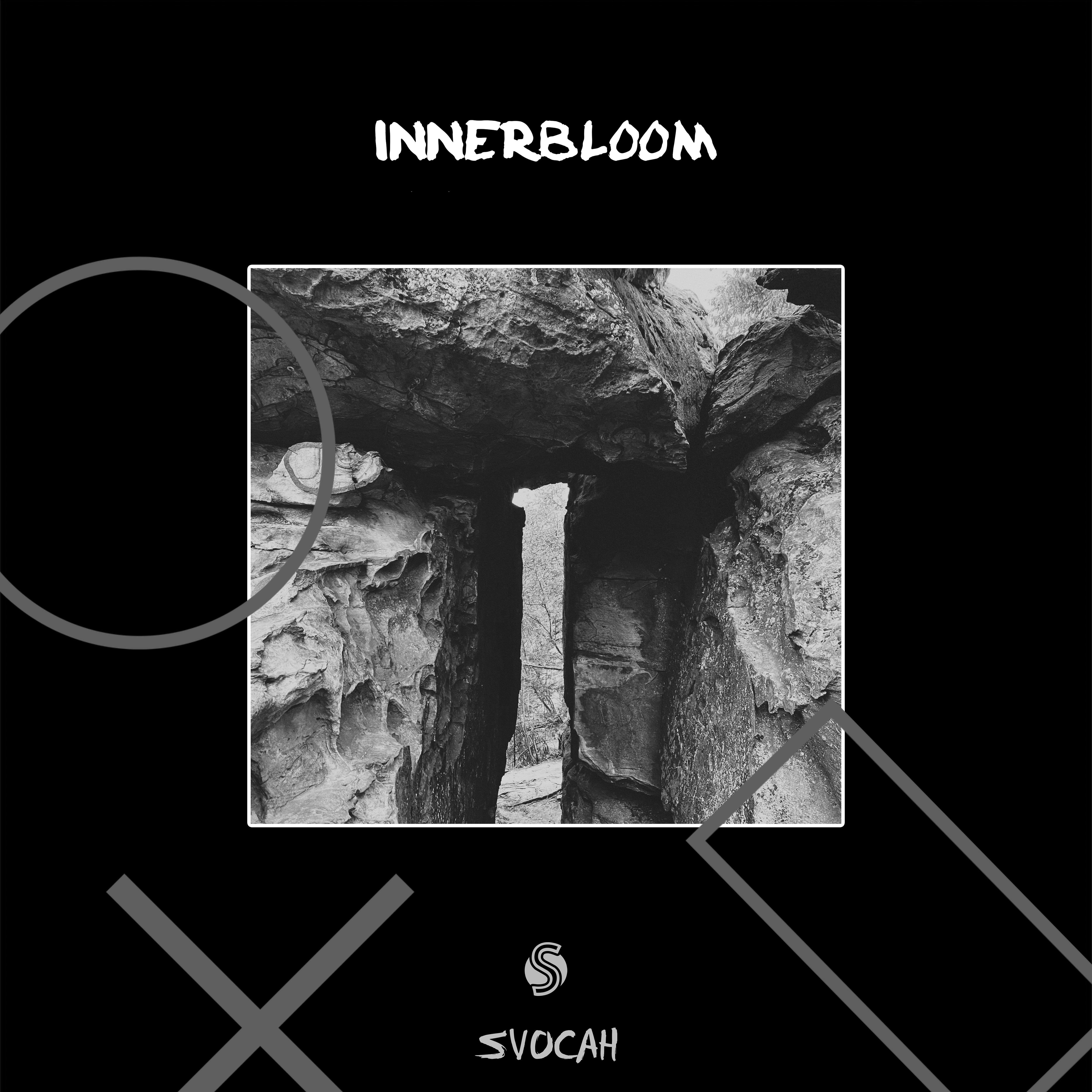 Постер альбома Innerbloom