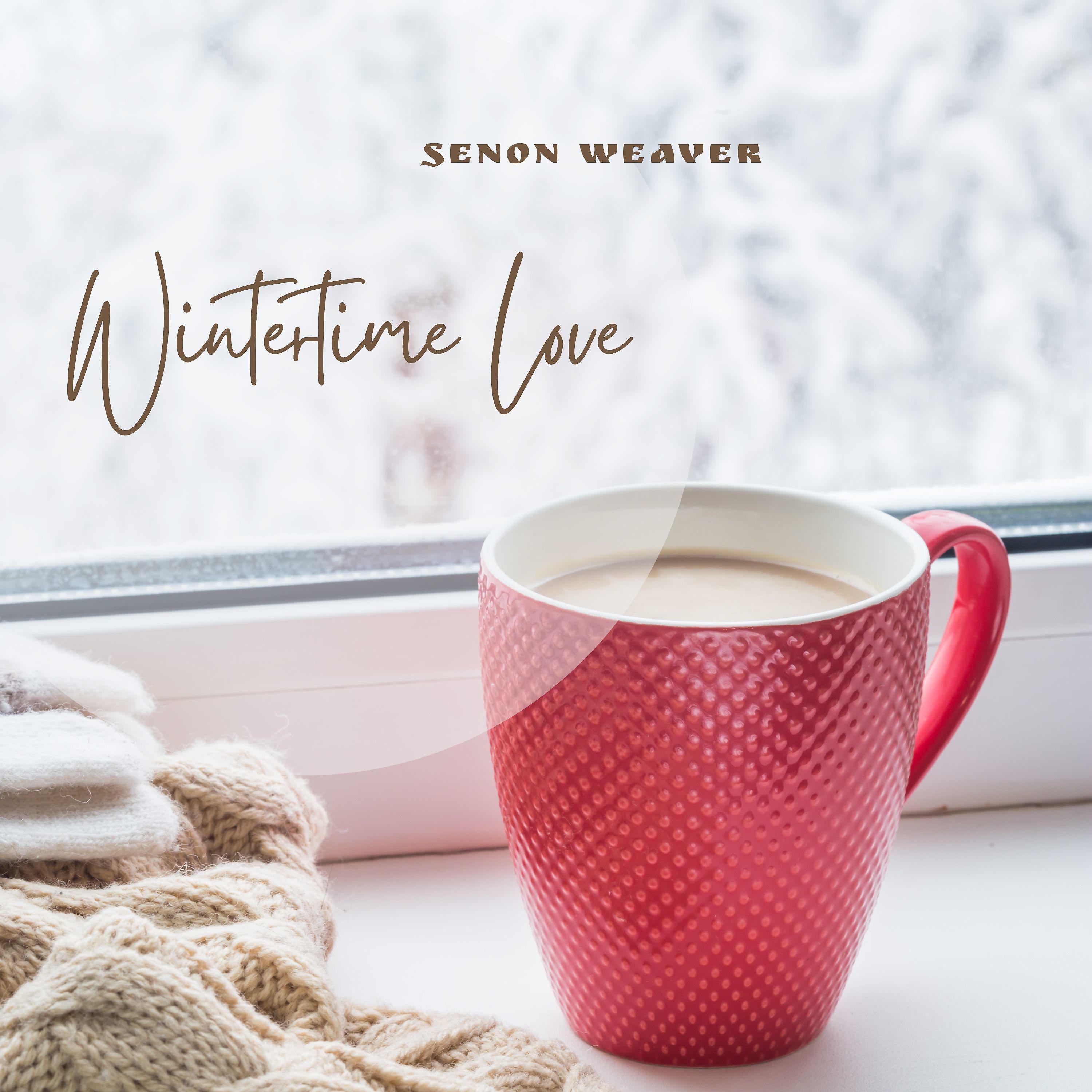 Постер альбома Wintertime Love