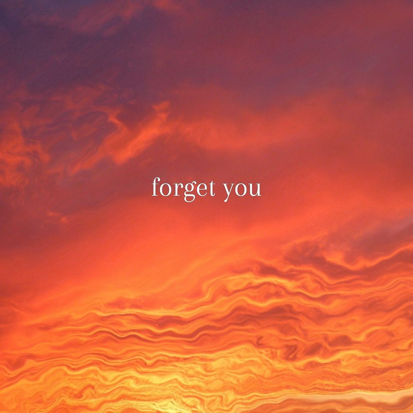 Постер альбома Forget You