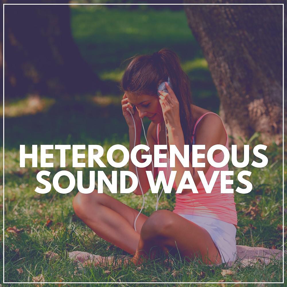 Постер альбома Heterogeneous Sound Waves