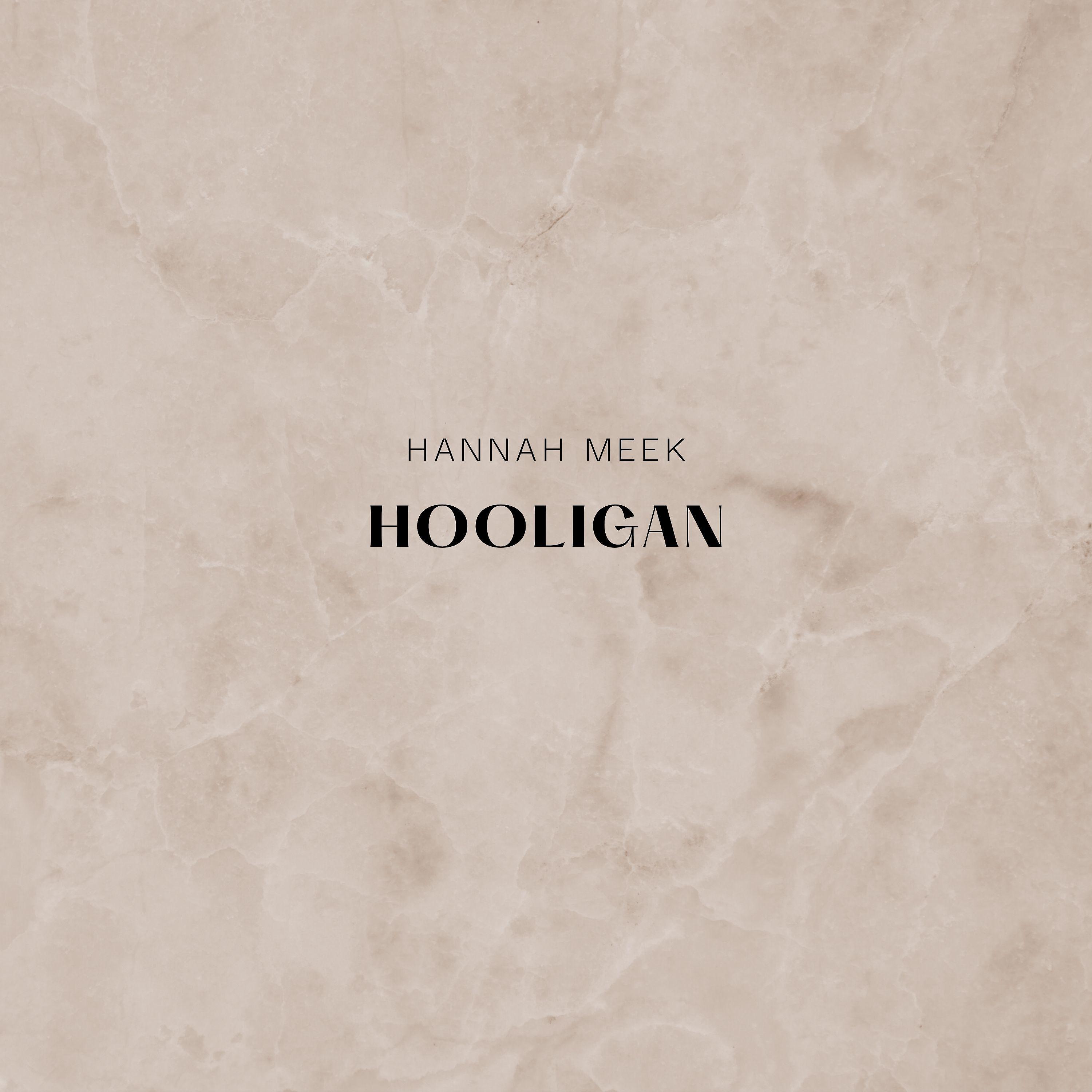 Постер альбома Hooligan