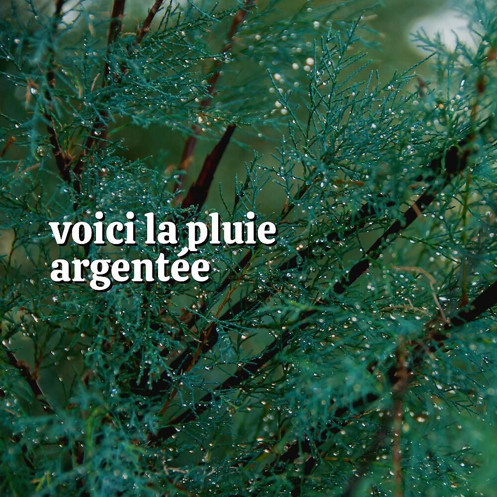 Sons De Pluie HD - Sons De Pluie Pour Dormir