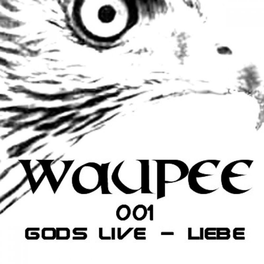 Gods Live - Liebe (DJ Kayowa Remix)