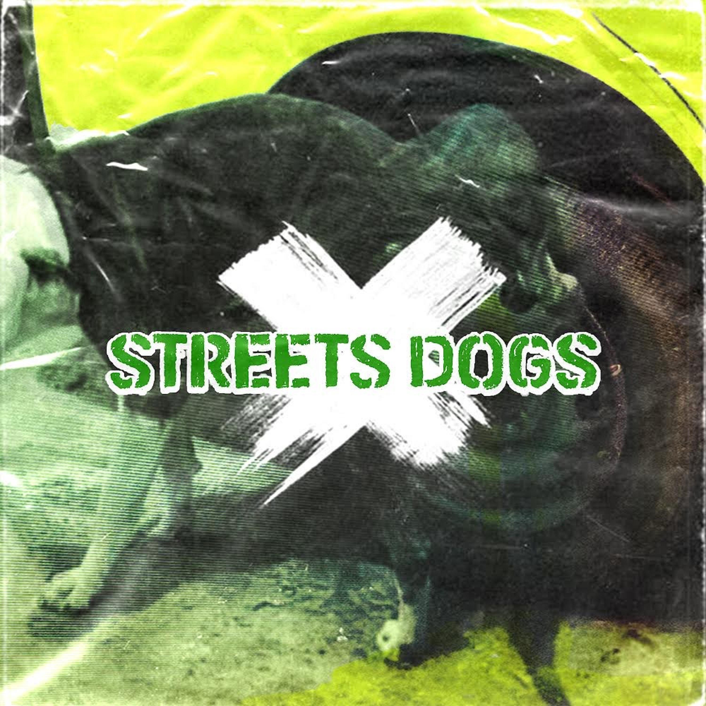 Постер альбома Streets Dogs