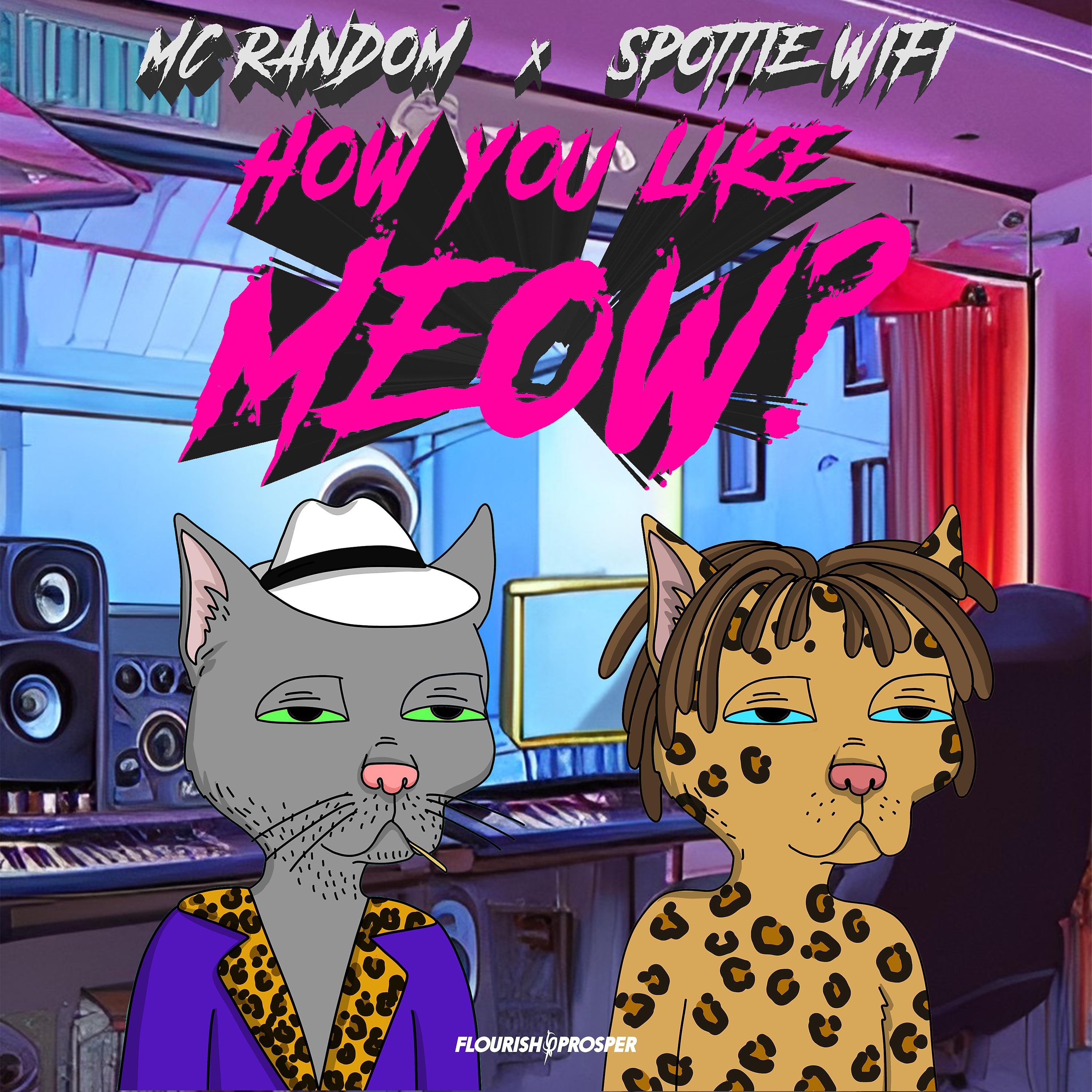 Постер альбома How You Like Meow? (Remix)