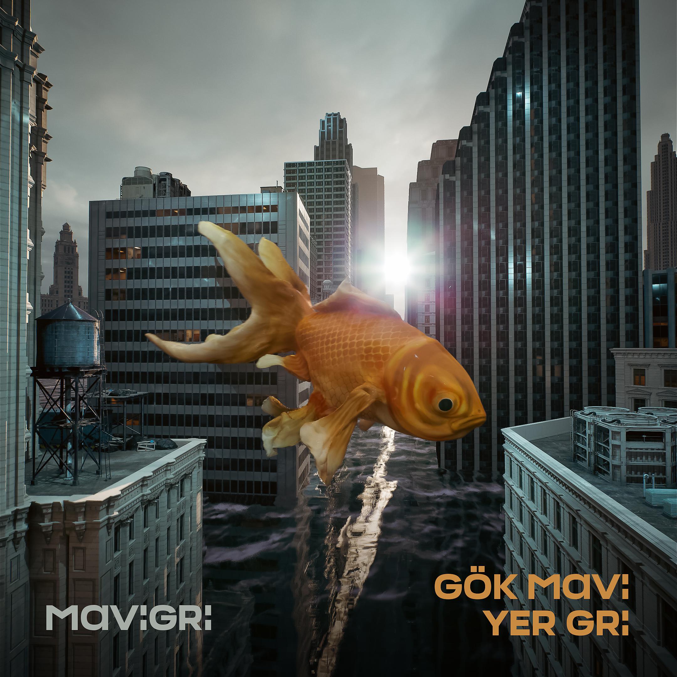 Постер альбома Gök Mavi Yer Gri