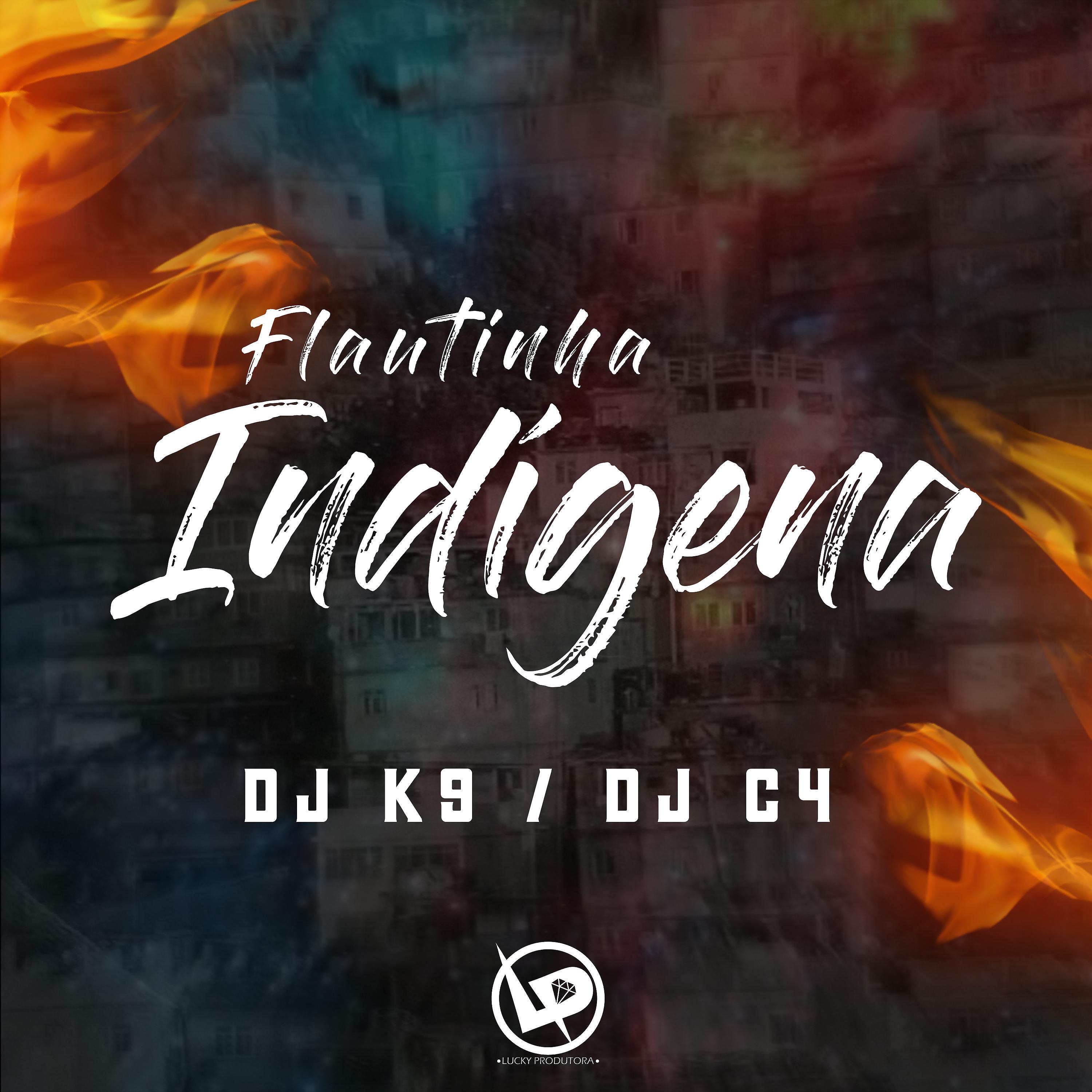 Постер альбома Flautinha Indígena