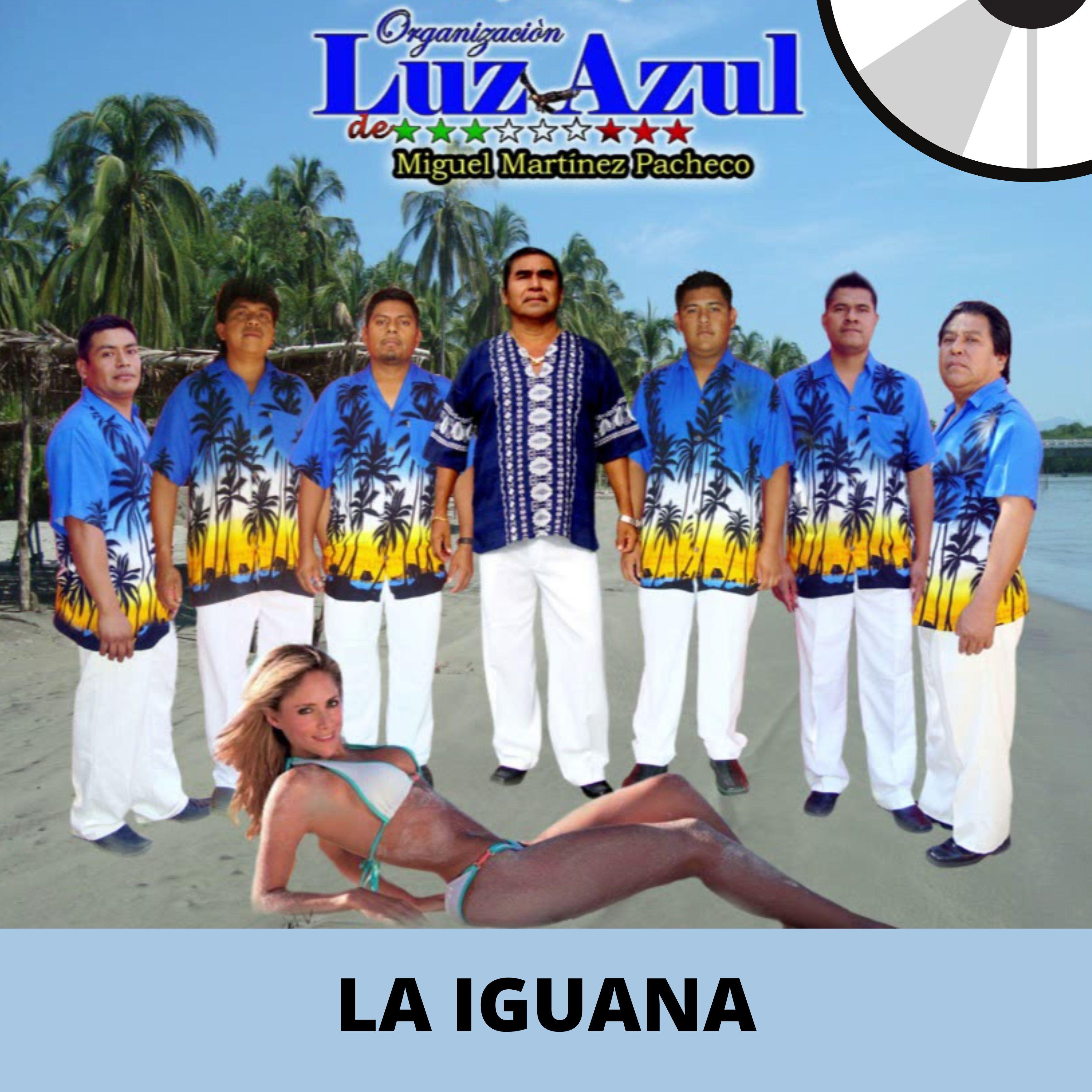 Постер альбома La Iguana