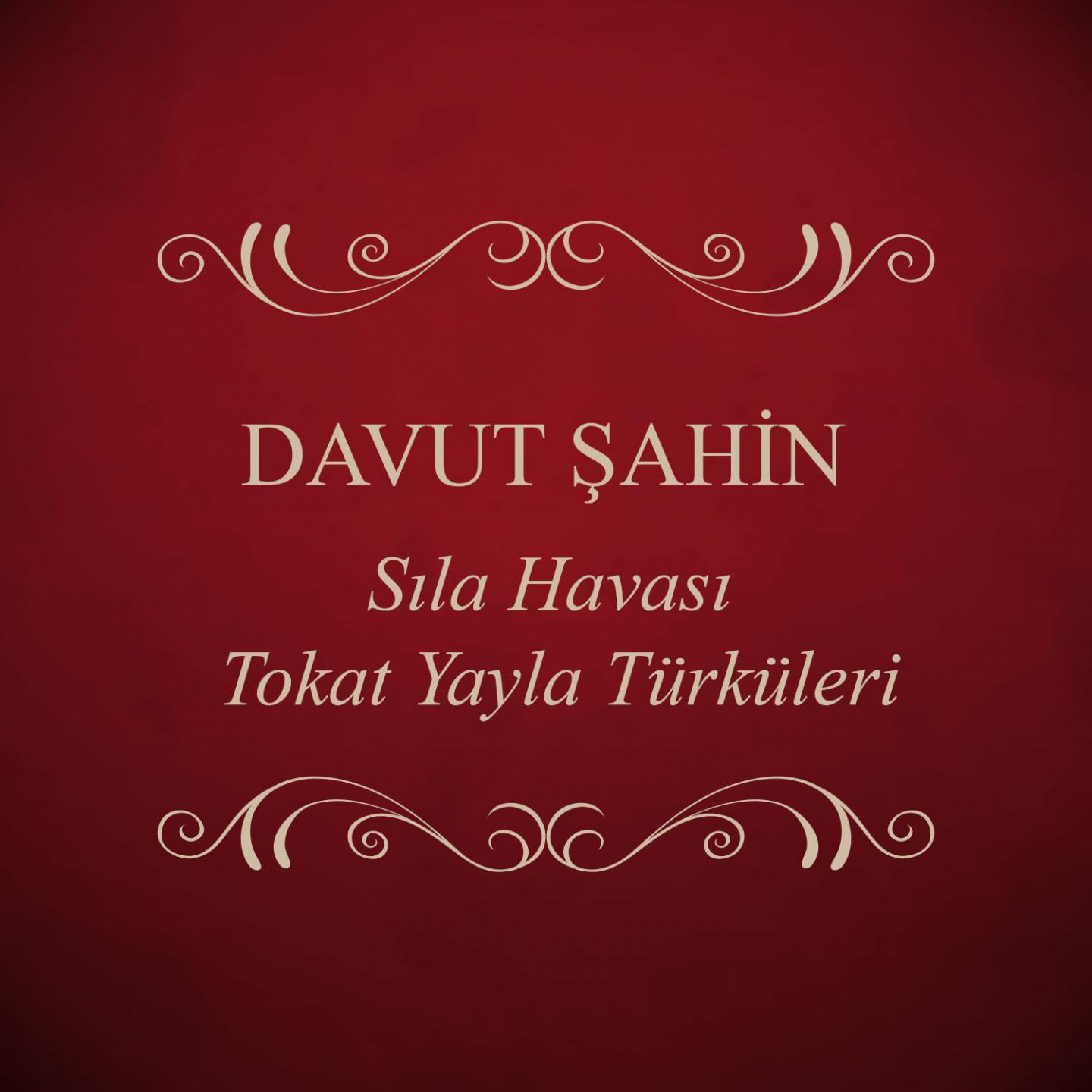 Постер альбома Sıla Havası Tokat Yayla Türküleri