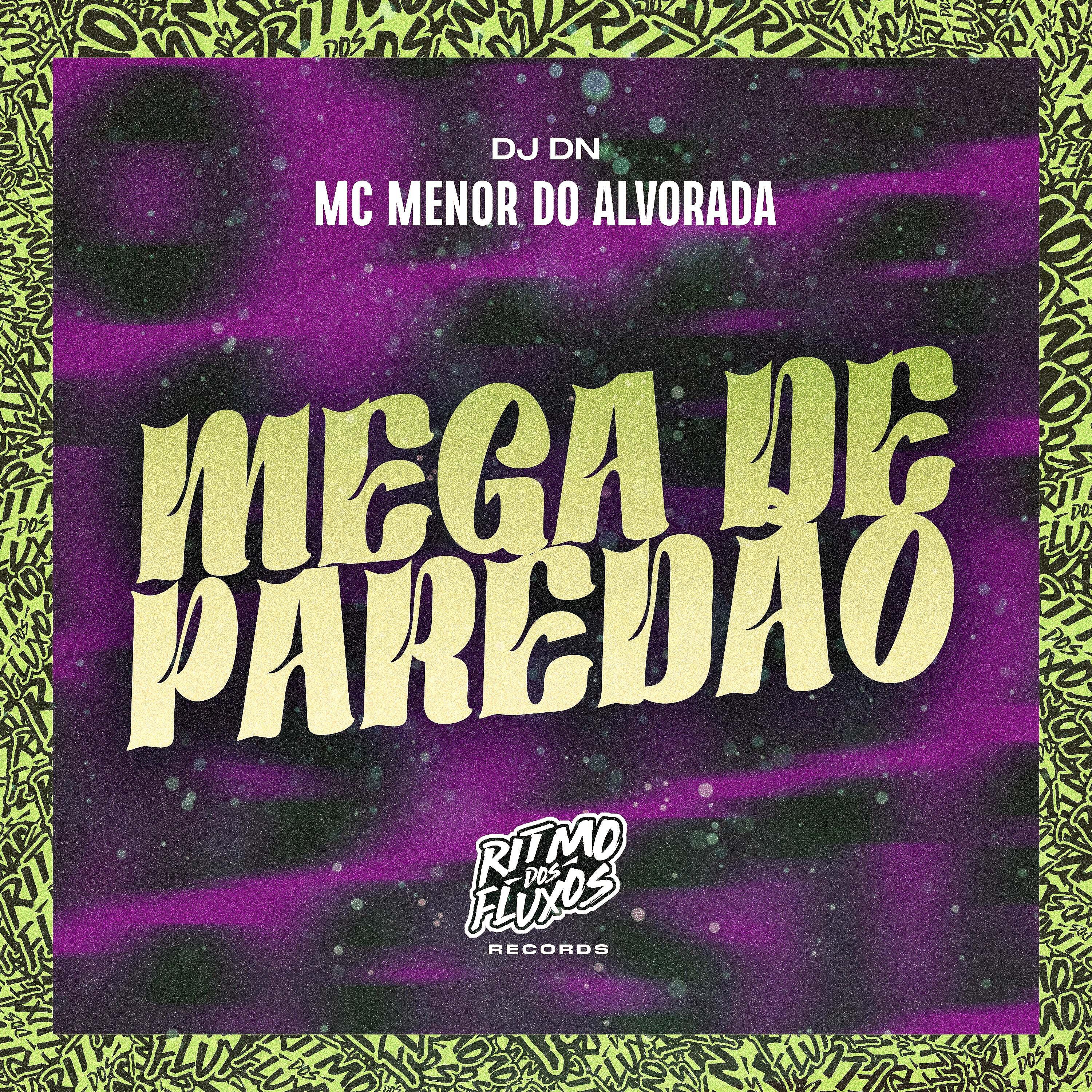 Постер альбома Mega de Paredão