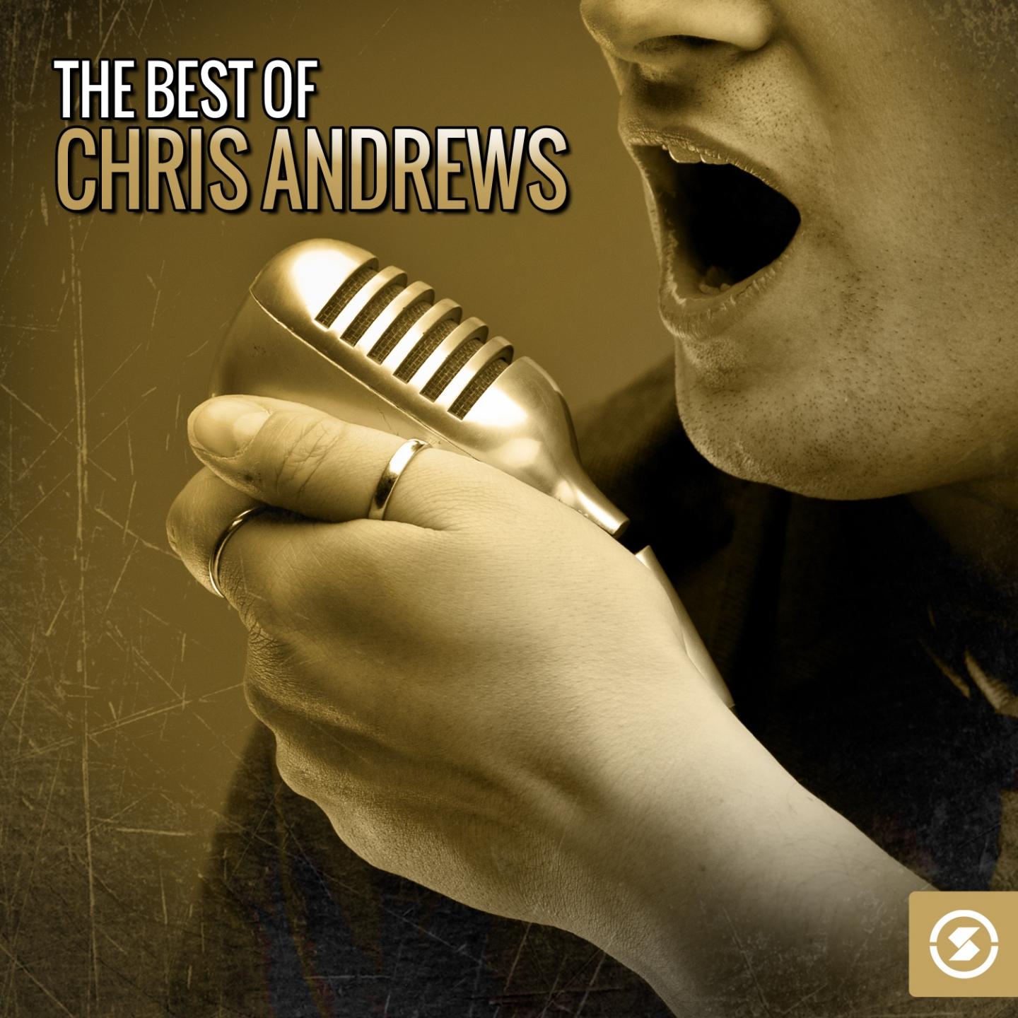 Постер альбома The Best of Chris Andrews