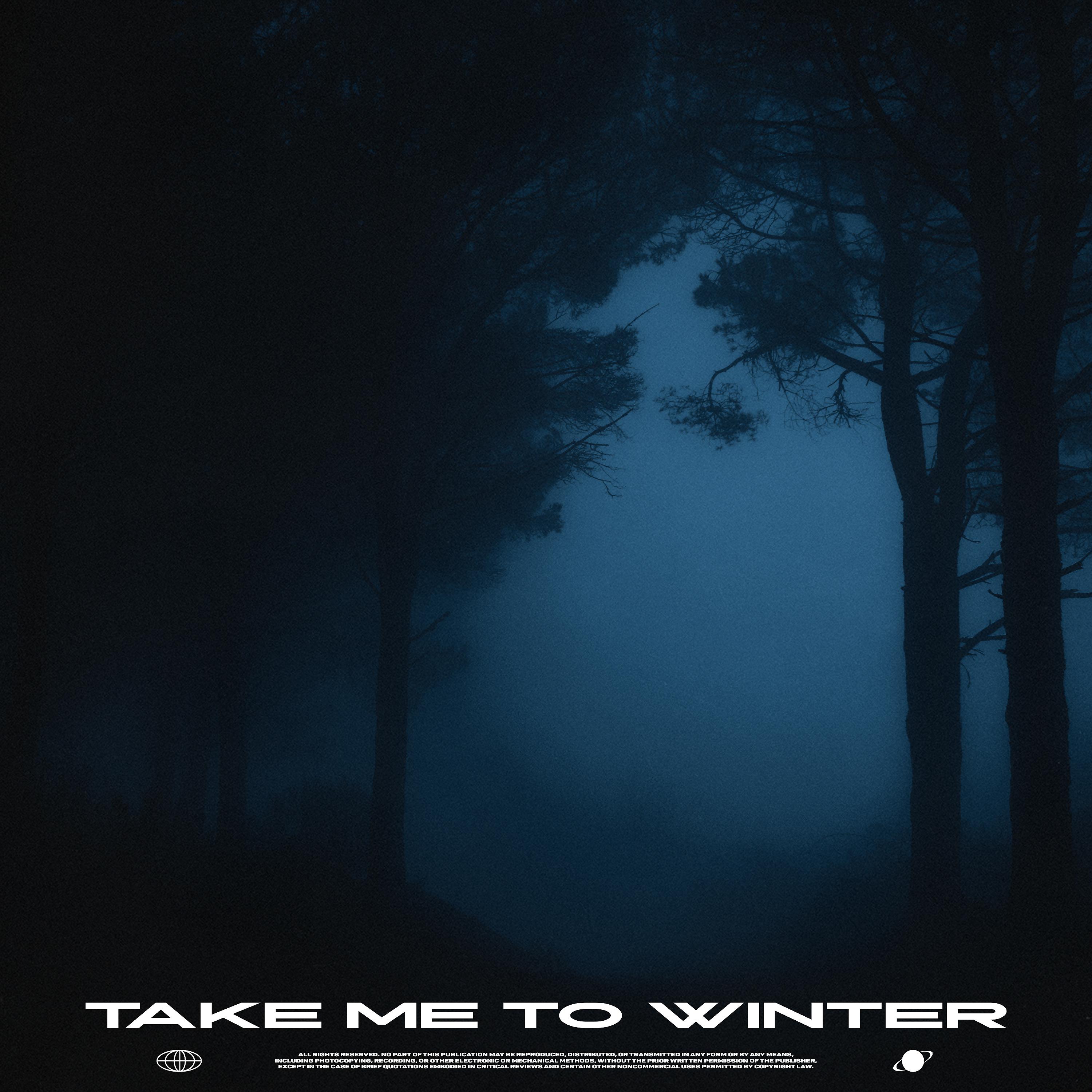 Постер альбома Take Me to Winter