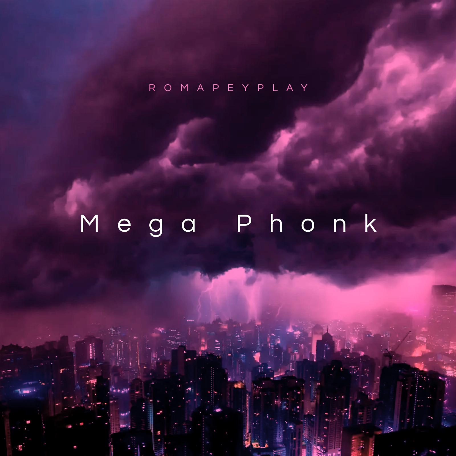 Постер альбома Mega Phonk