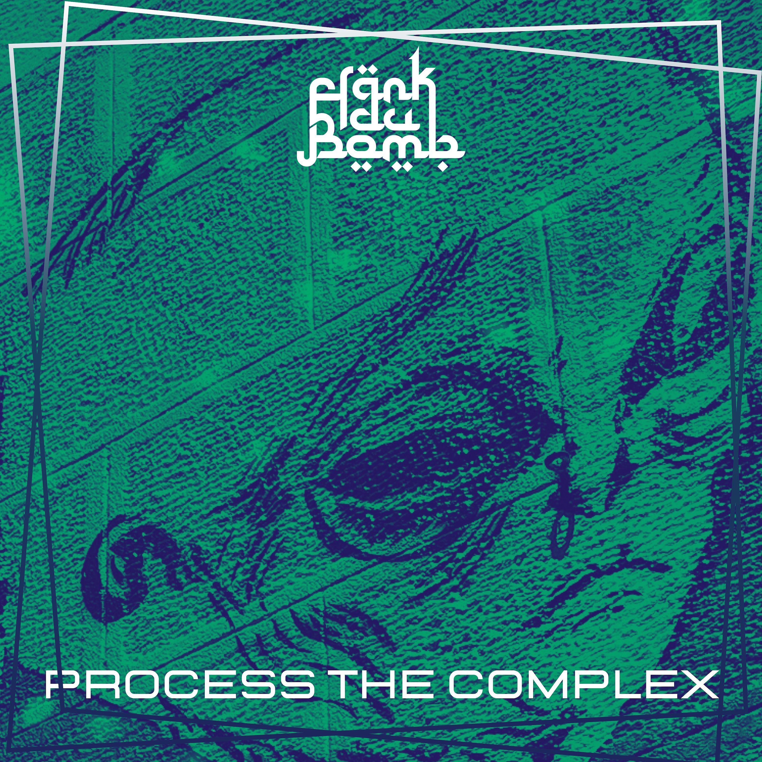 Постер альбома Process the Complex