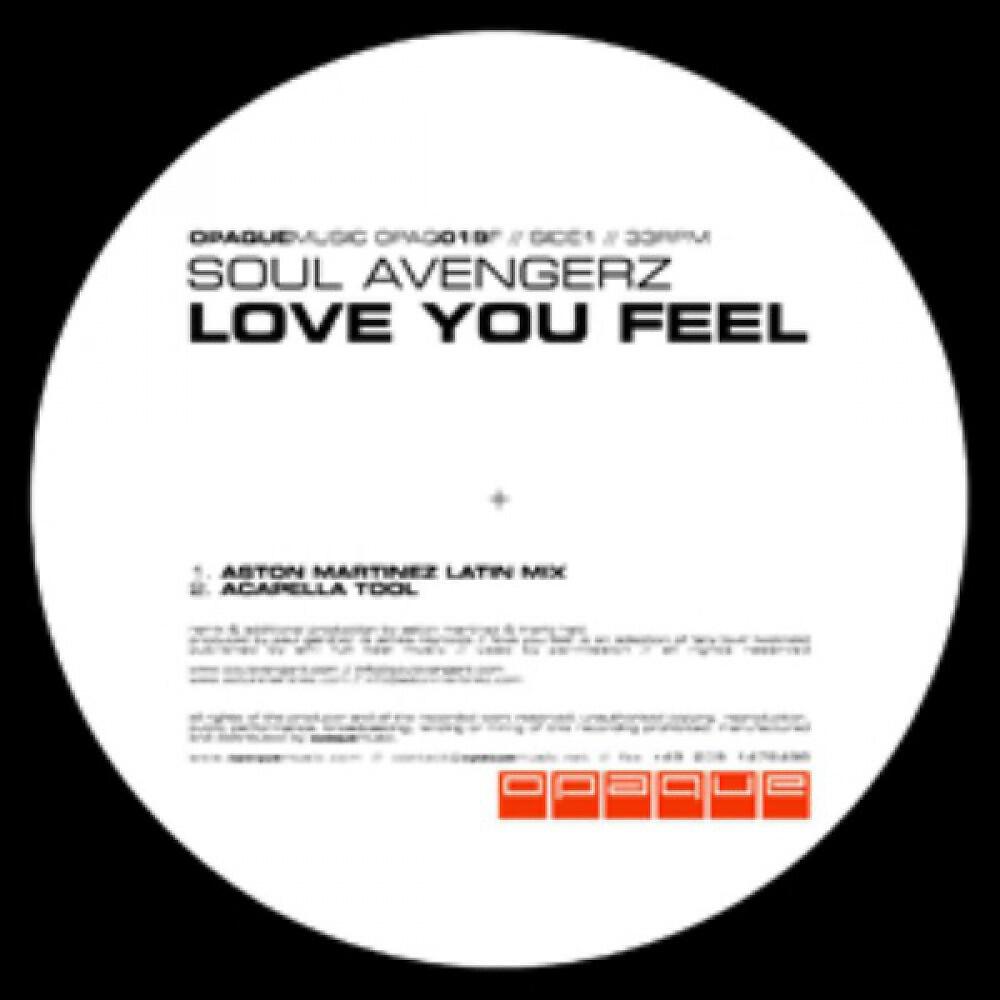 Soul Avengerz - Love you feel (Accapella Tool)