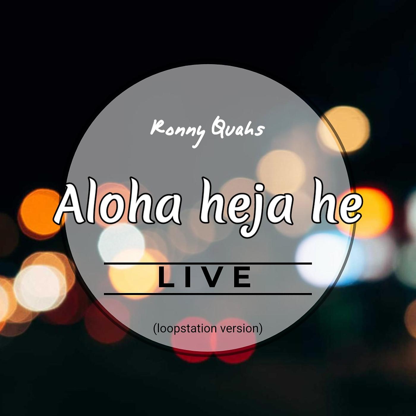 Постер альбома Aloha Heja He (Loopstation Version) [Live]