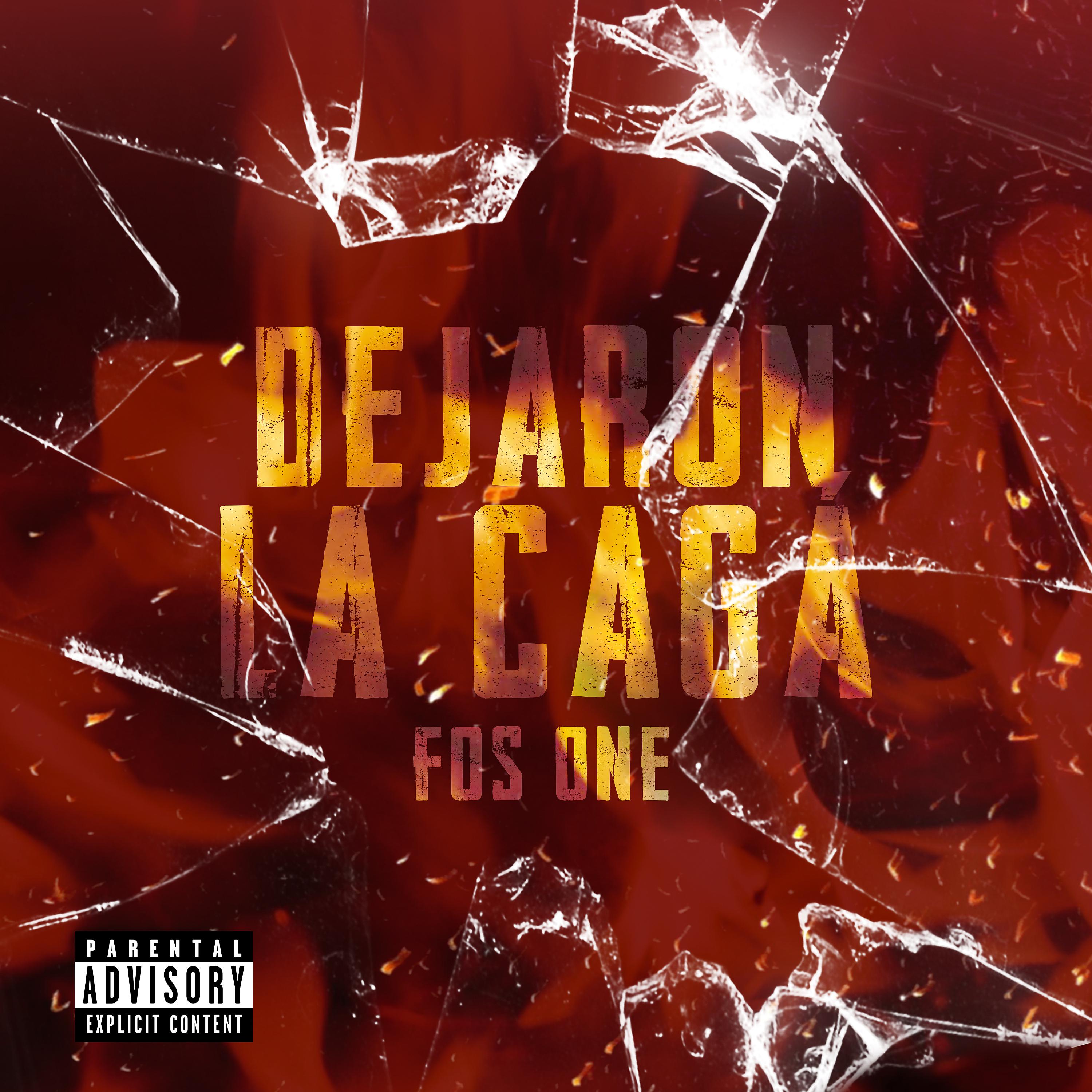 Постер альбома Dejaron la Cagá