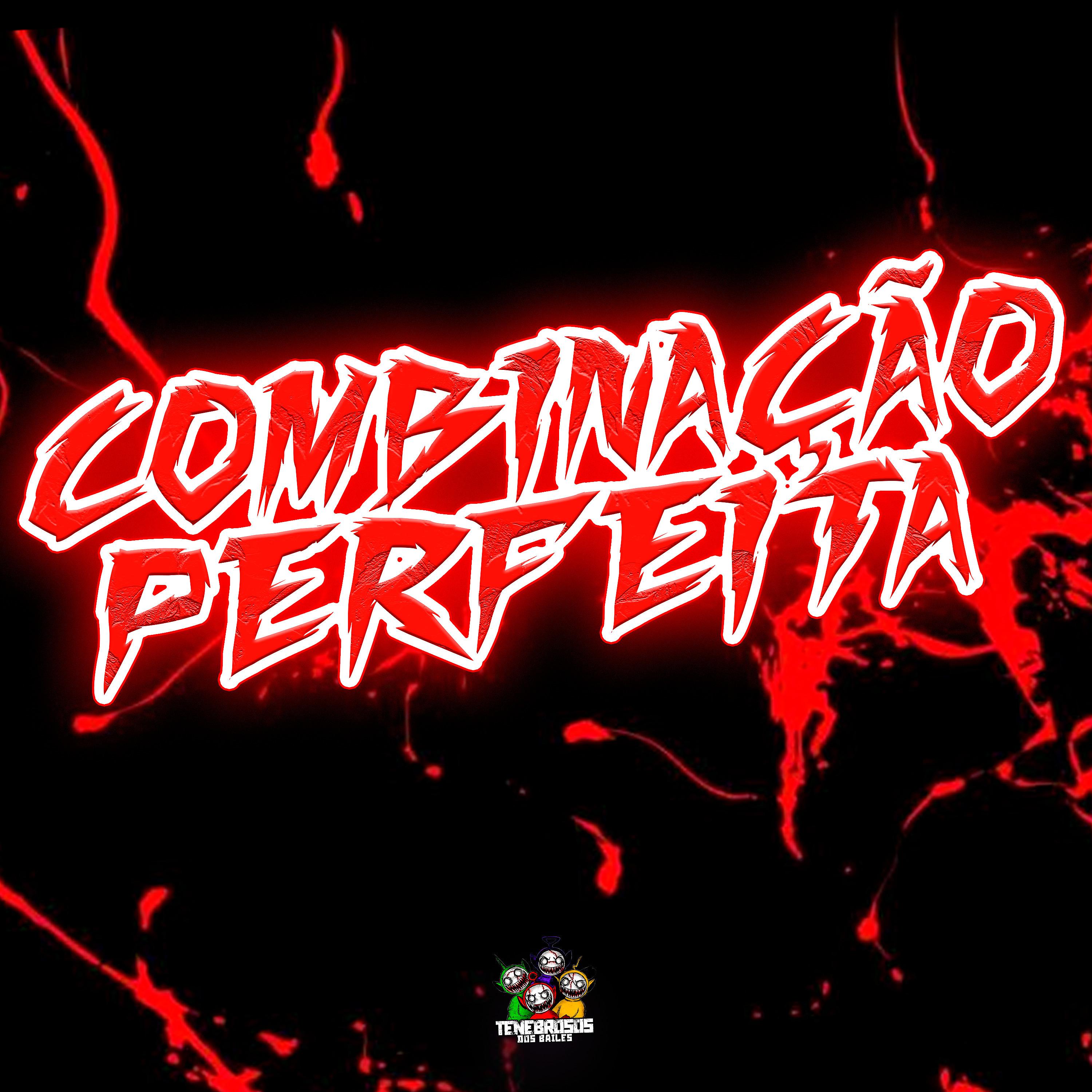 Постер альбома Combinação Perfeita