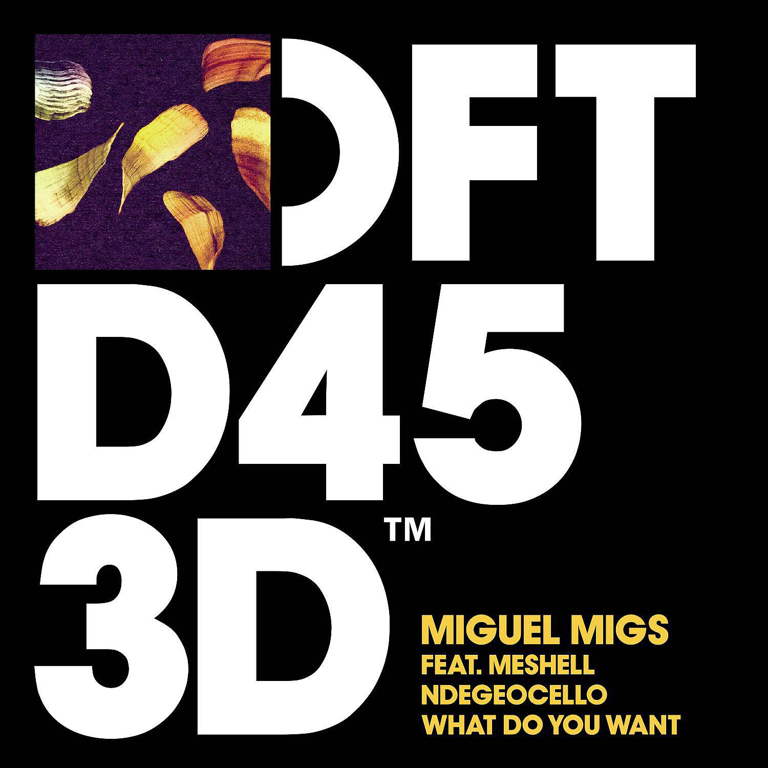 Miguel Migs - What Do You Want (feat. Meshell Ndegeocello) [Migs Salted Vocal]