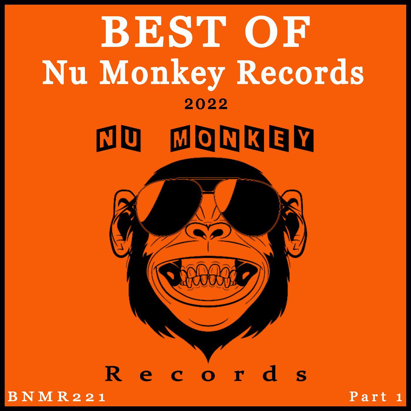Постер альбома Best Of Nu Monkey Records 2022, Pt. 1