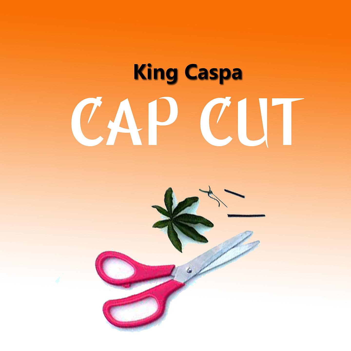 Постер альбома Cap cut