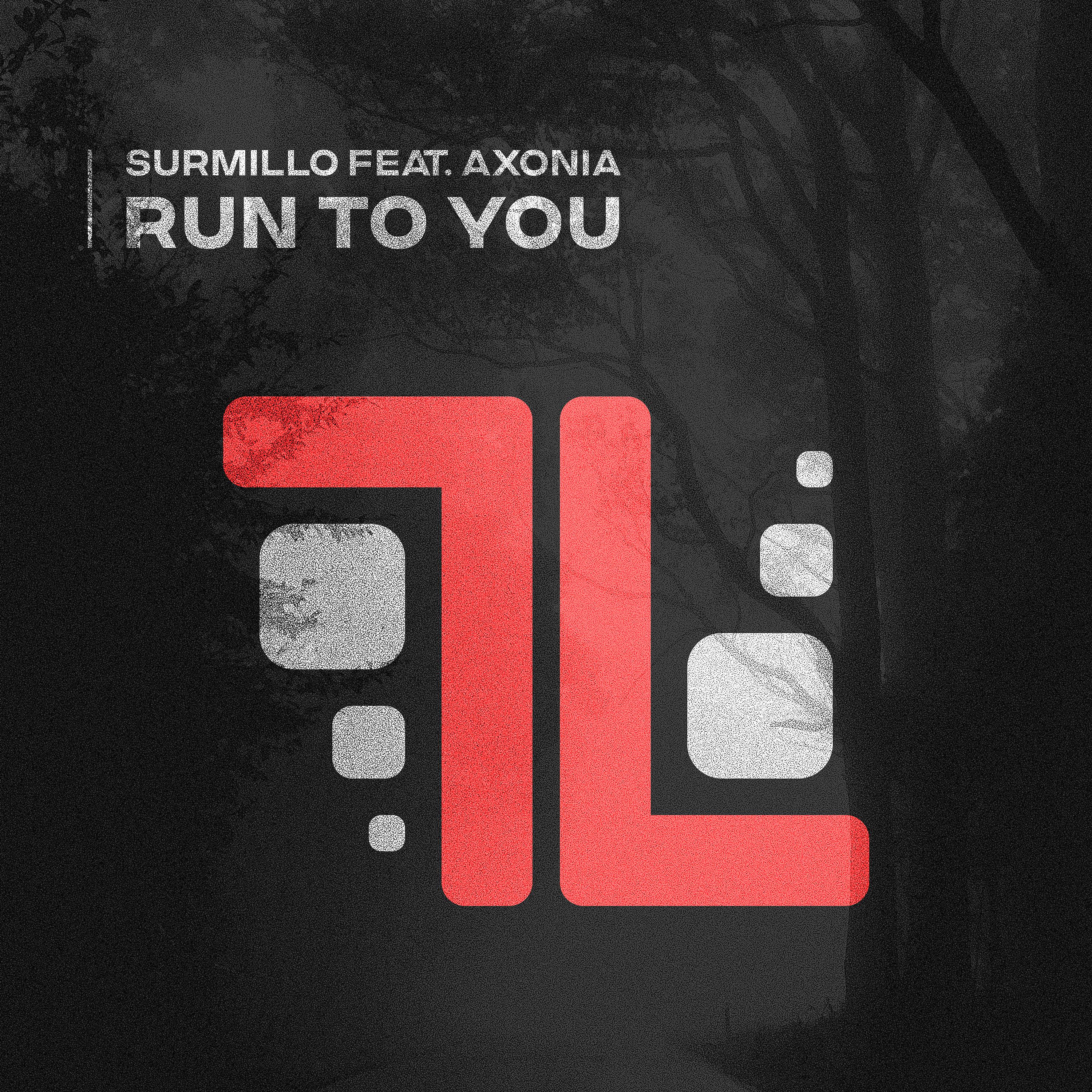 Постер альбома Run to You