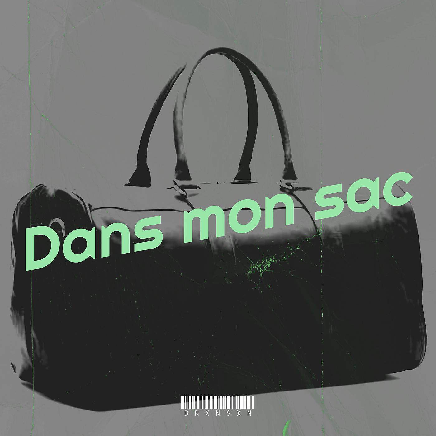Постер альбома Dans mon sac