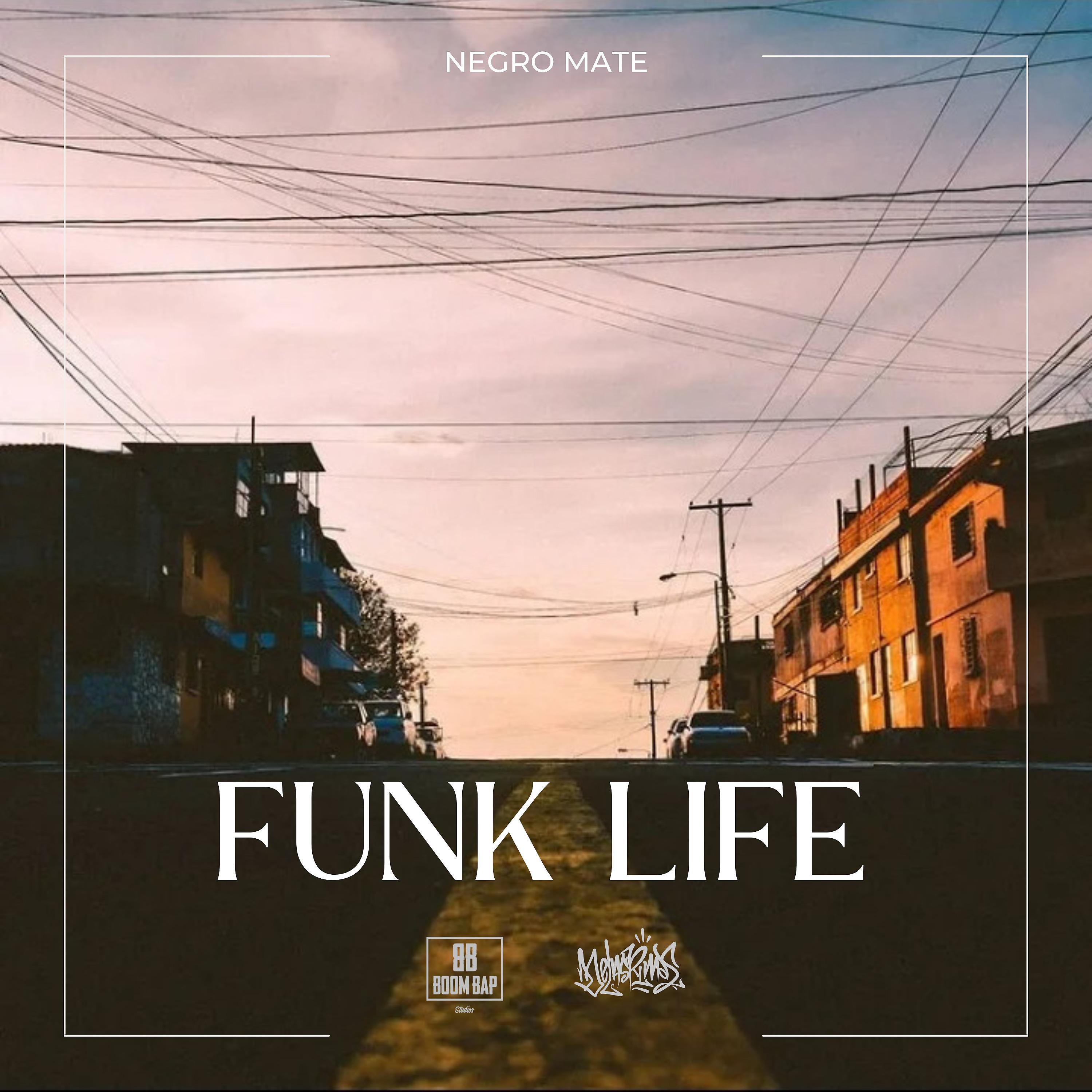 Постер альбома Funk Life