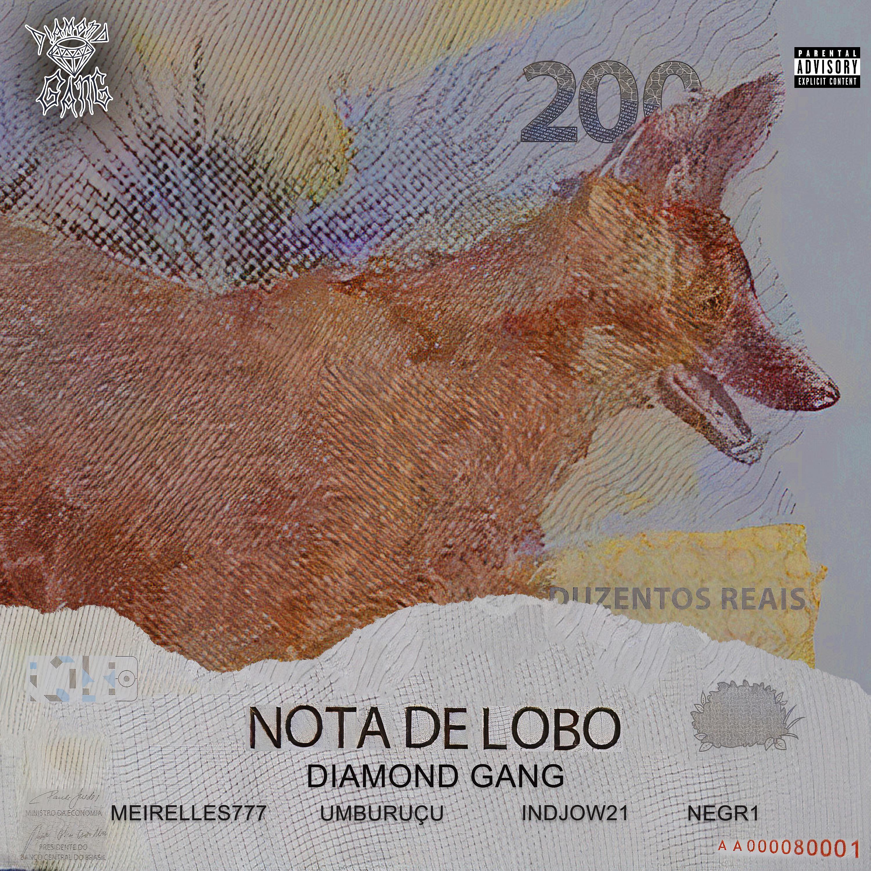 Постер альбома Nota de Lobo