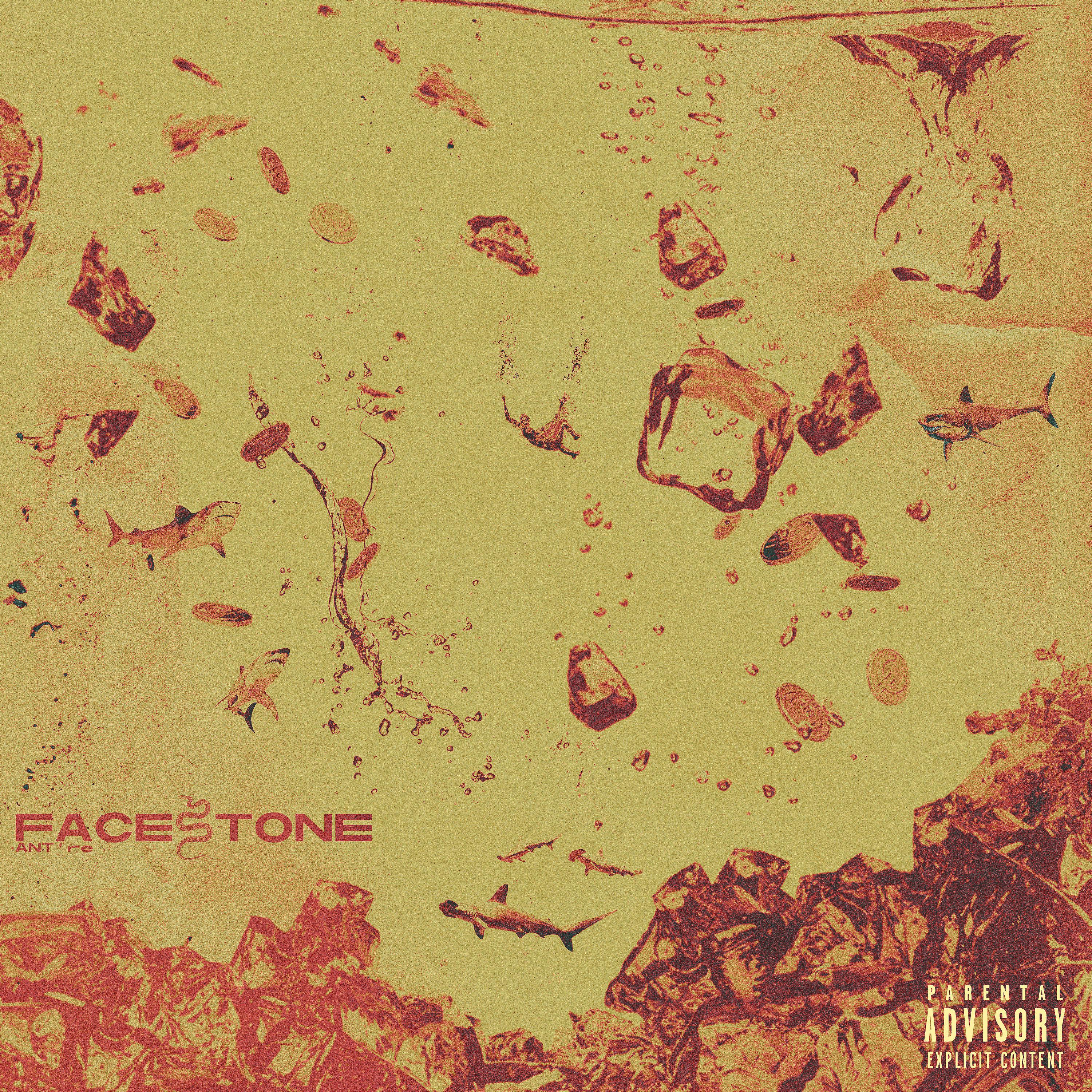 Постер альбома Facestone
