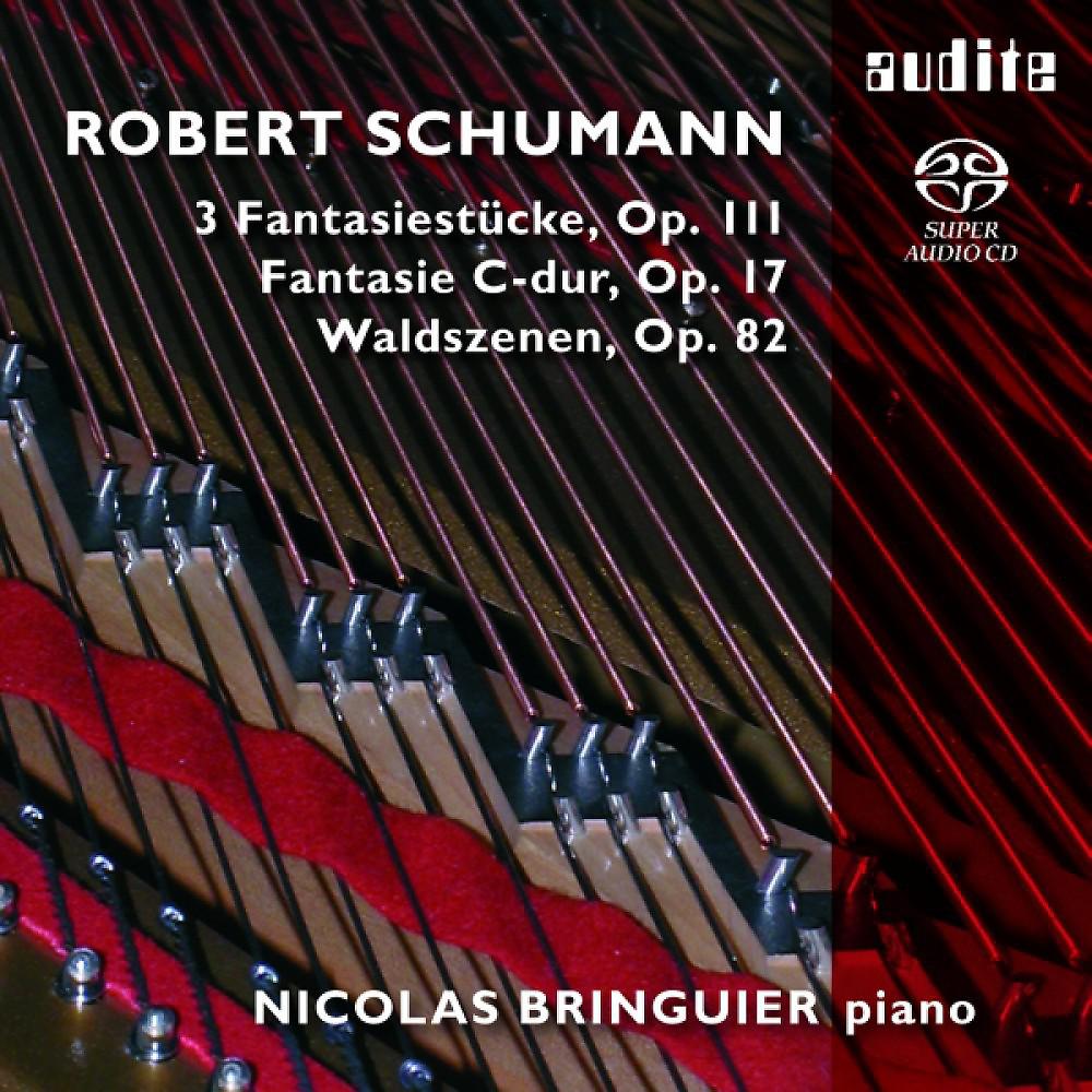 Постер альбома Robert Schumann: Fantasie C-Dur, Waldszenen, 3 Fantasiestücke