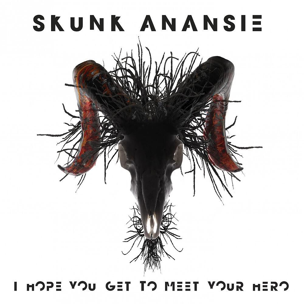 Skunk Anansie - I Hope You Get to Meet Your Hero (Radio Edit)