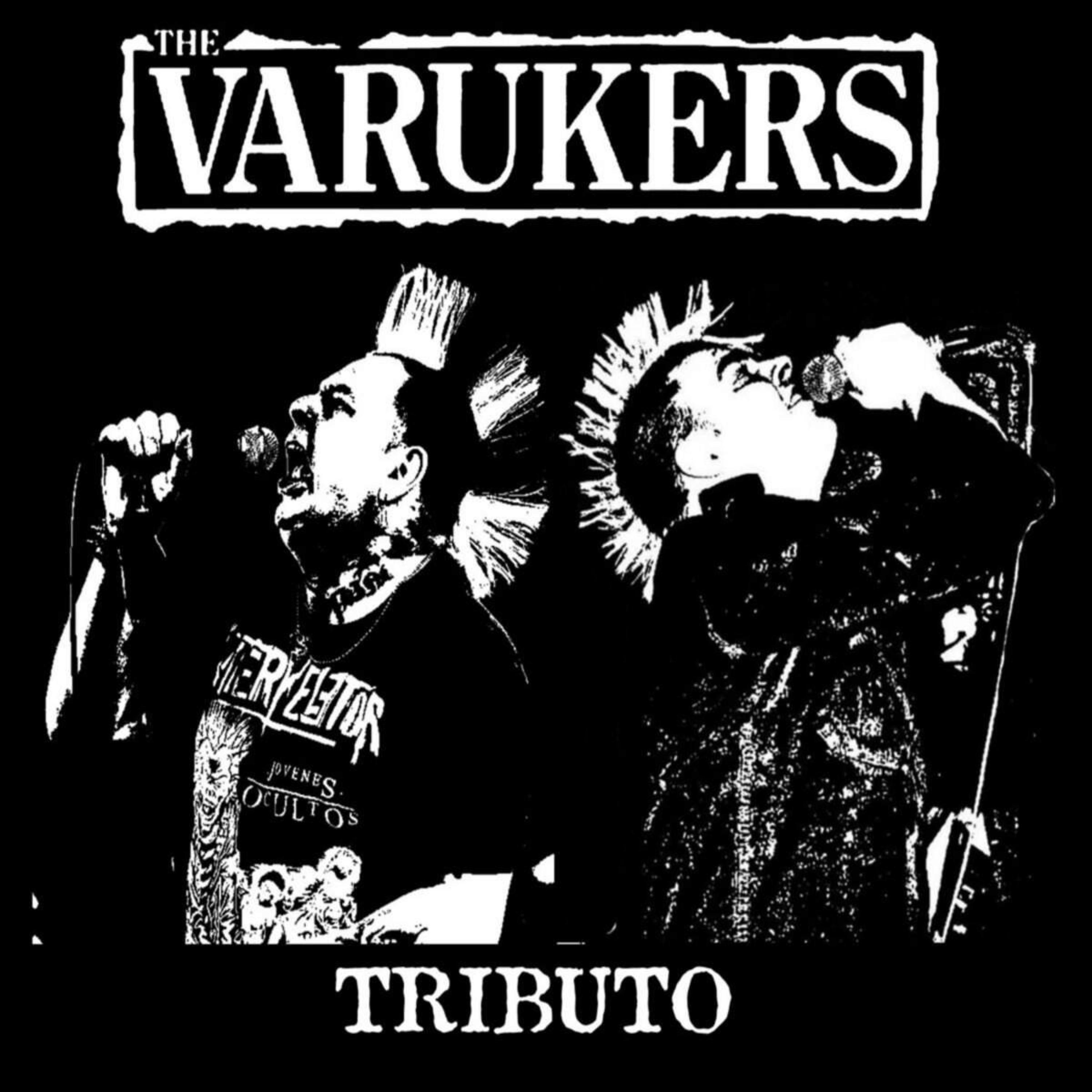 Постер альбома Another Religion Another War (The Varukers Tributo)