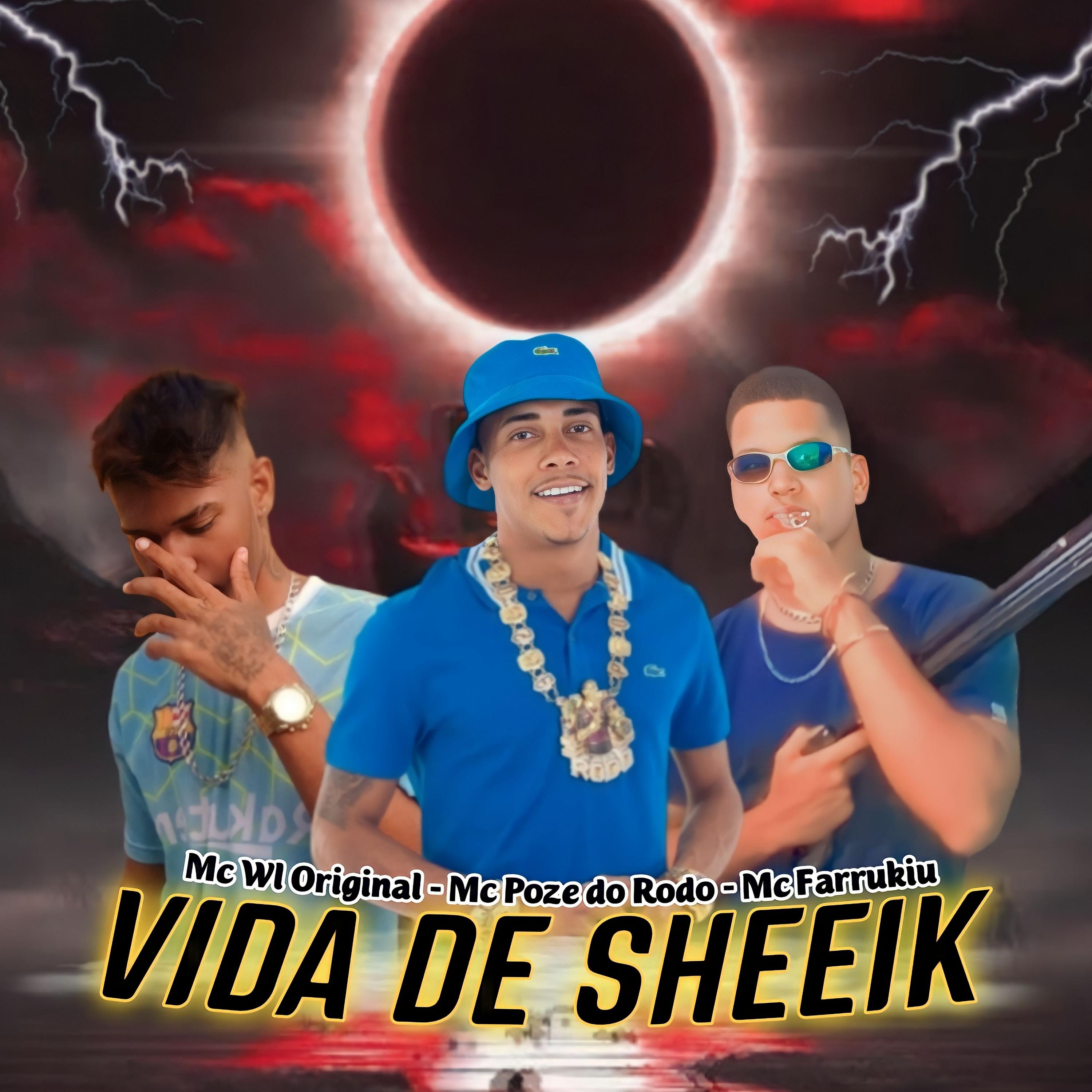 Постер альбома Vida de Sheeik