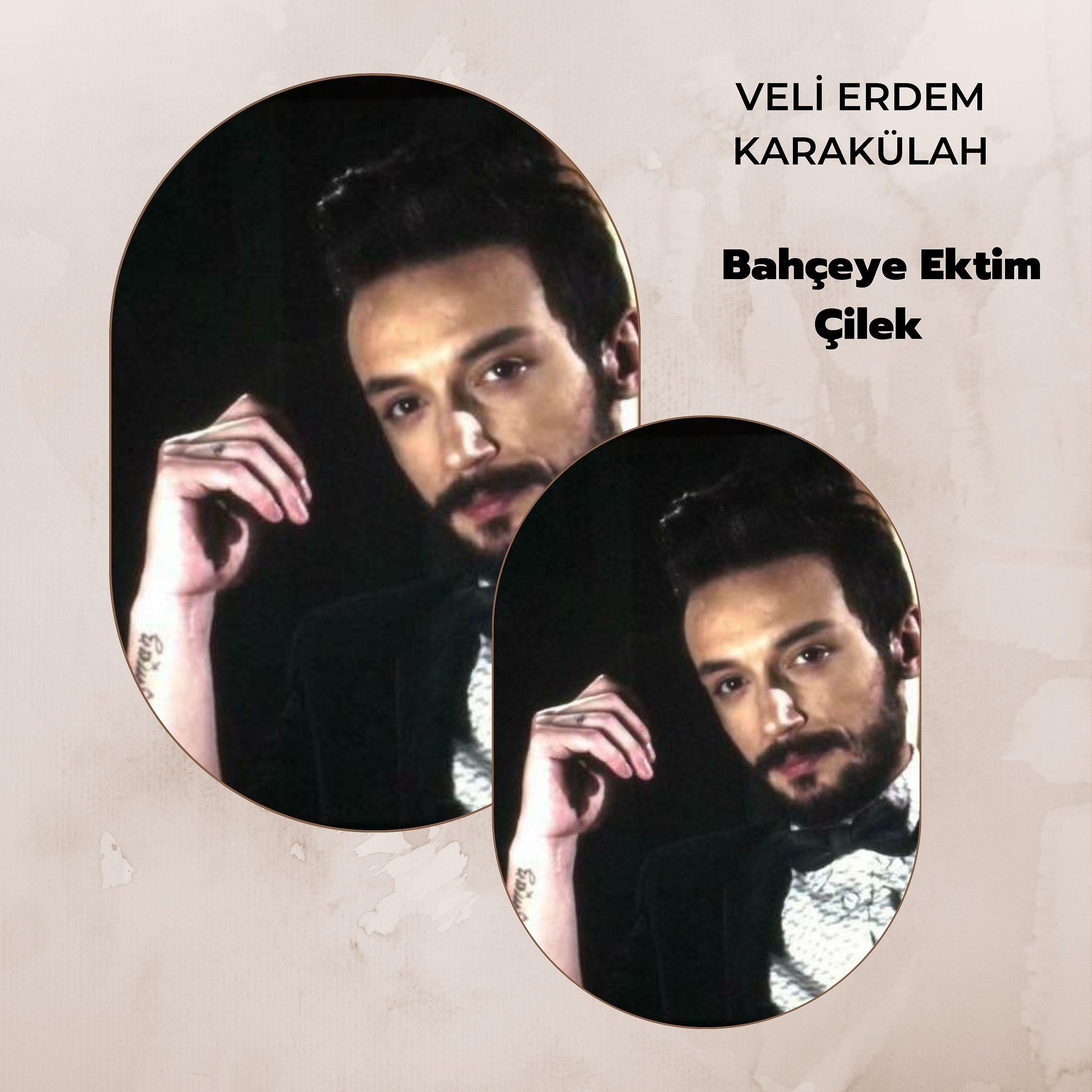 Постер альбома Bahçeye Ektim Çilek