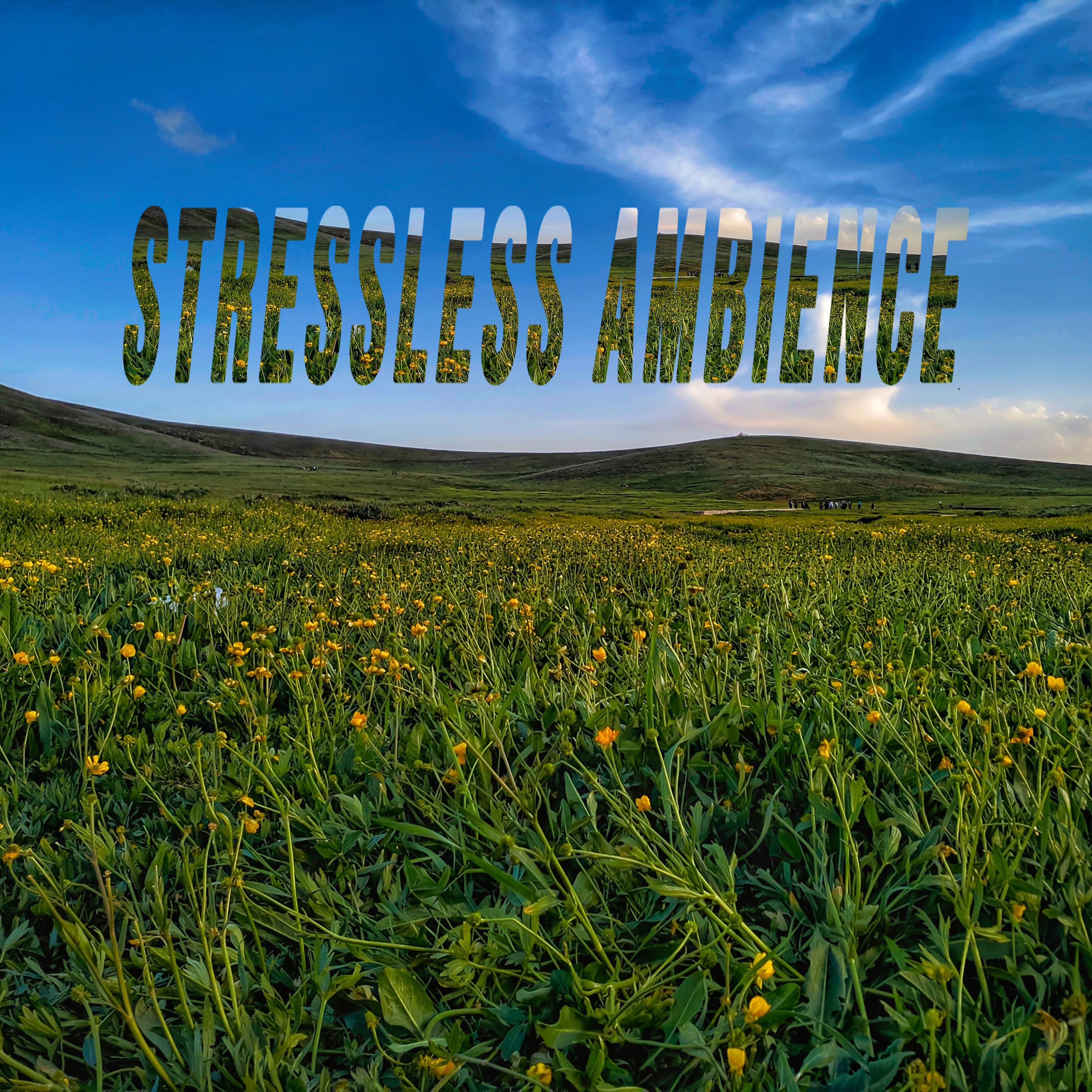 Постер альбома Stressless Ambience