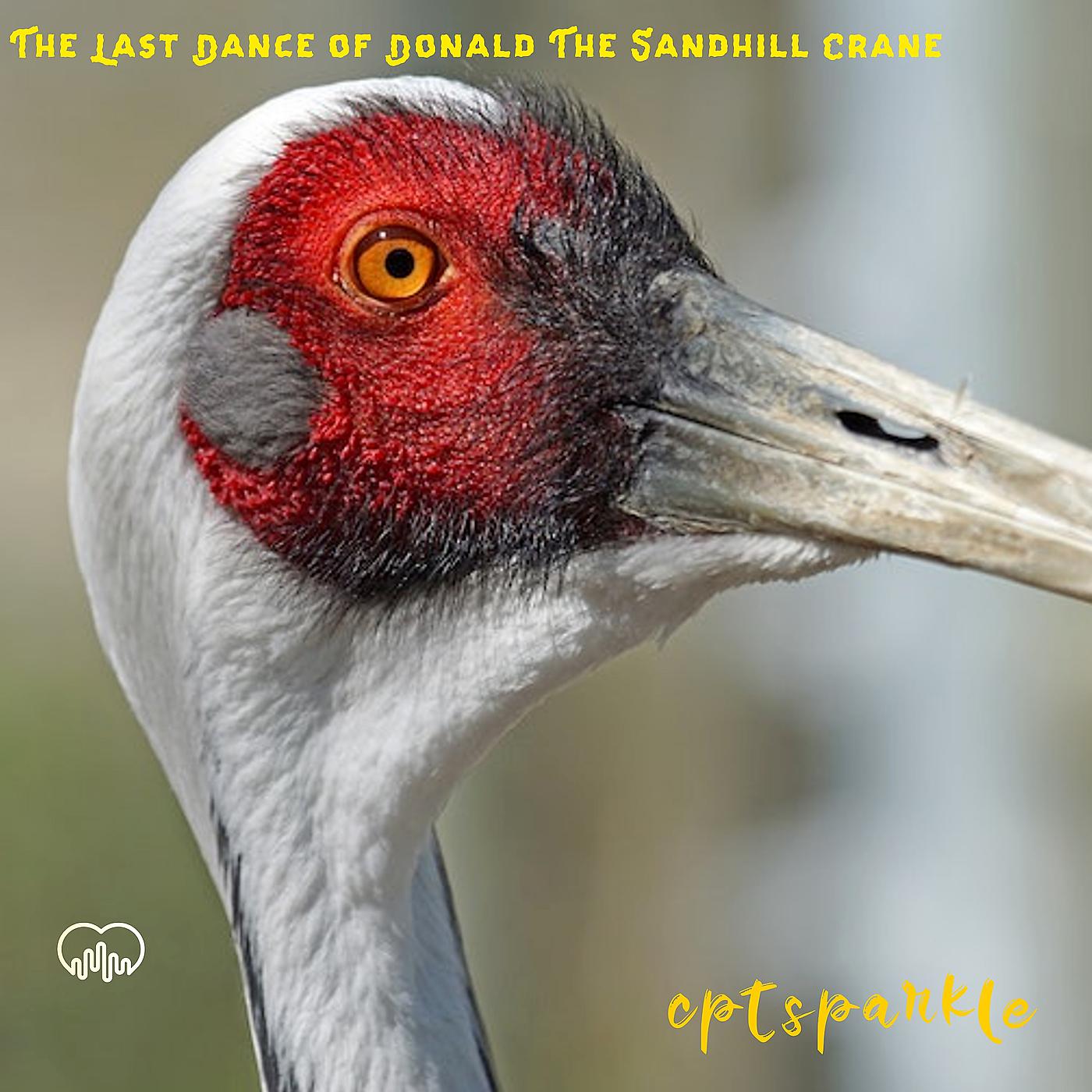 Постер альбома The Last Dance of Donald the Sand Hill Crane