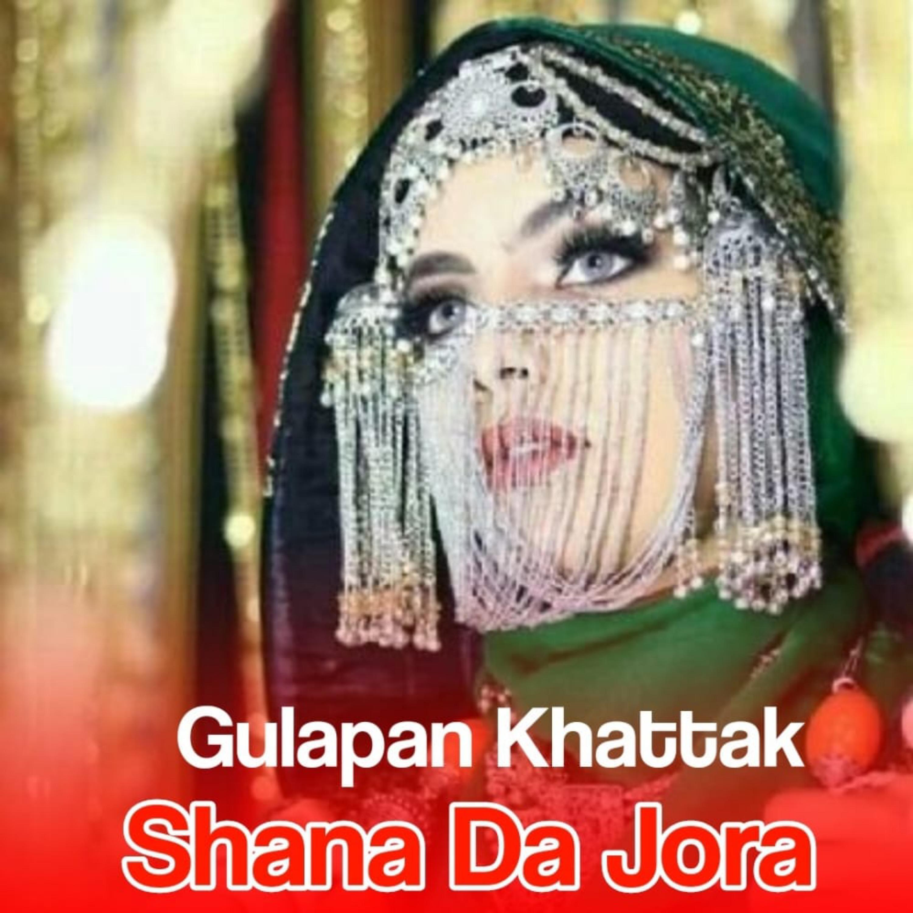 Постер альбома Shana Da Jora
