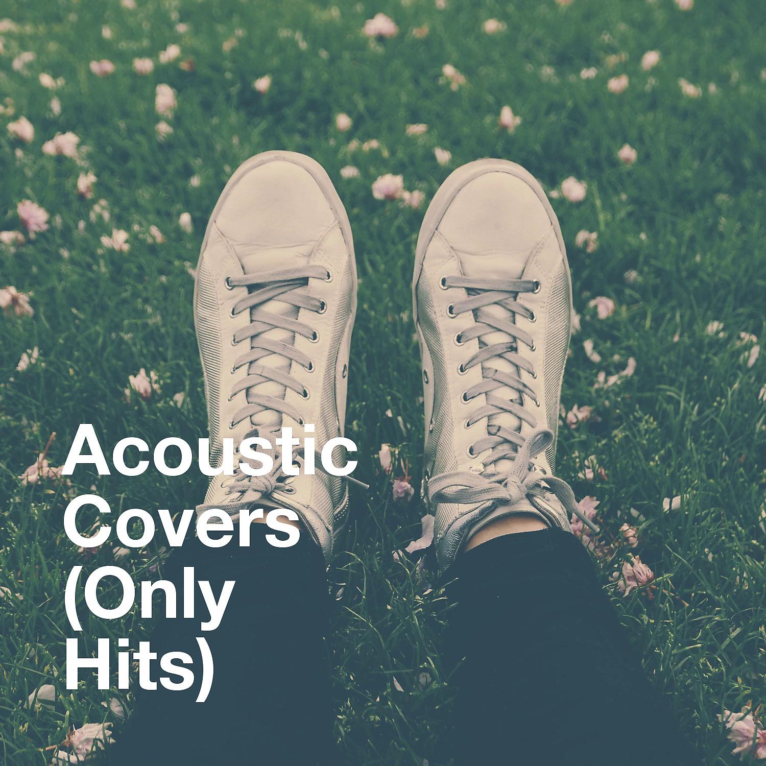 Постер альбома Acoustic Covers (Only Hits)