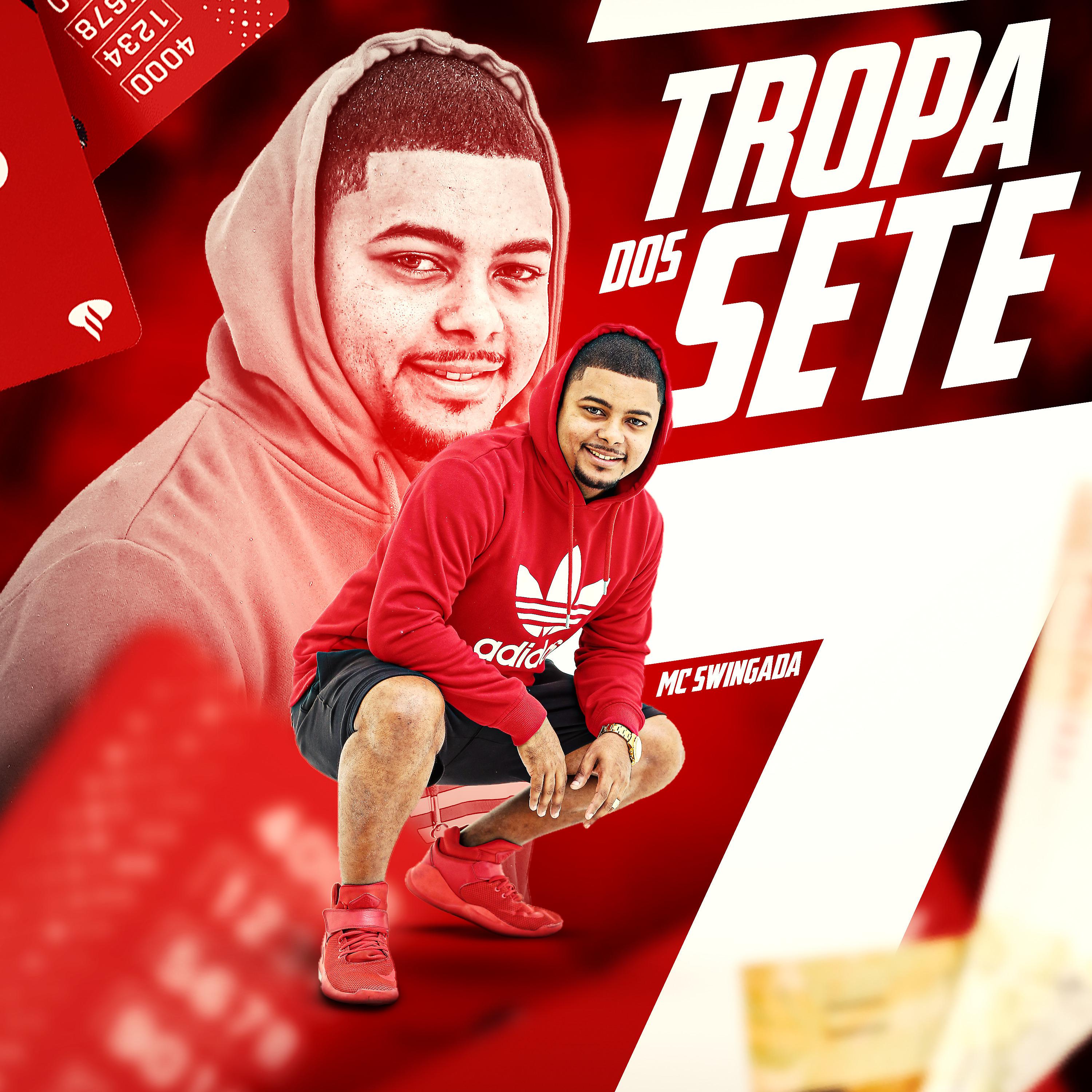 Постер альбома Tropa dos Sete