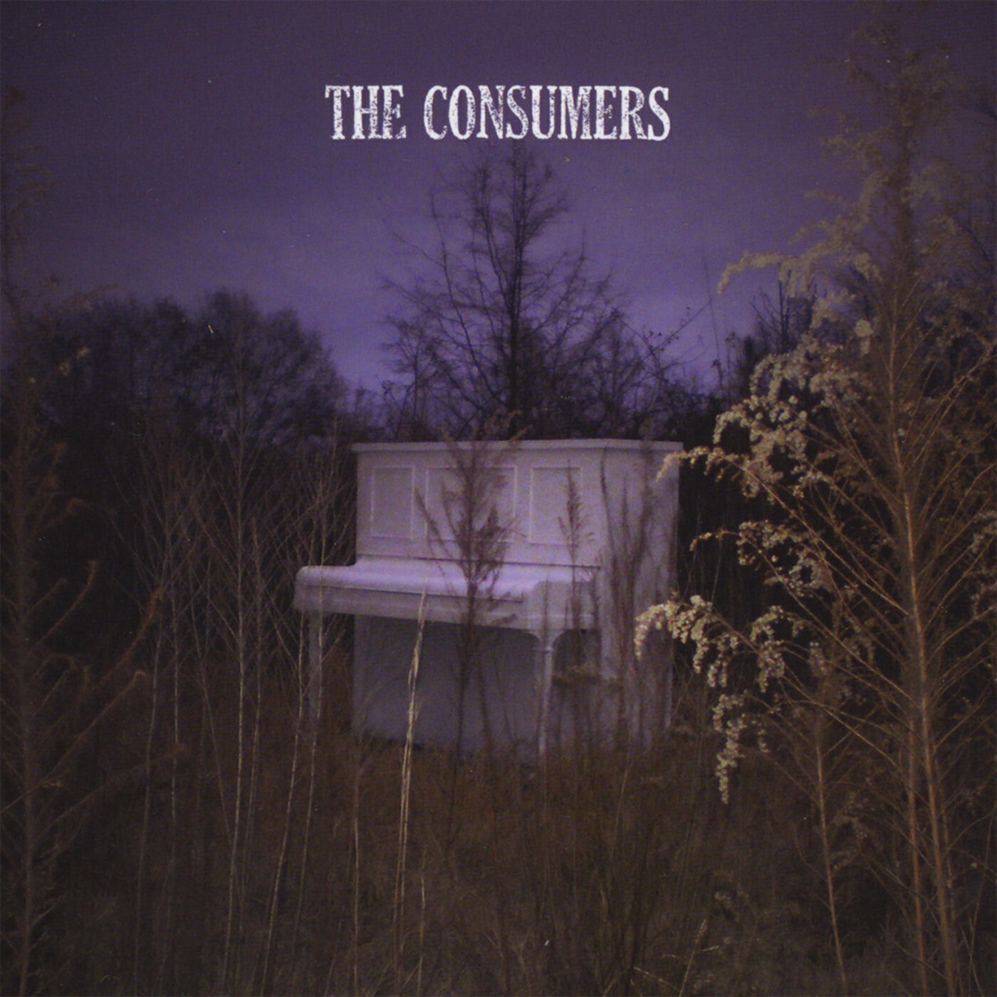 The Consumers - The Chase