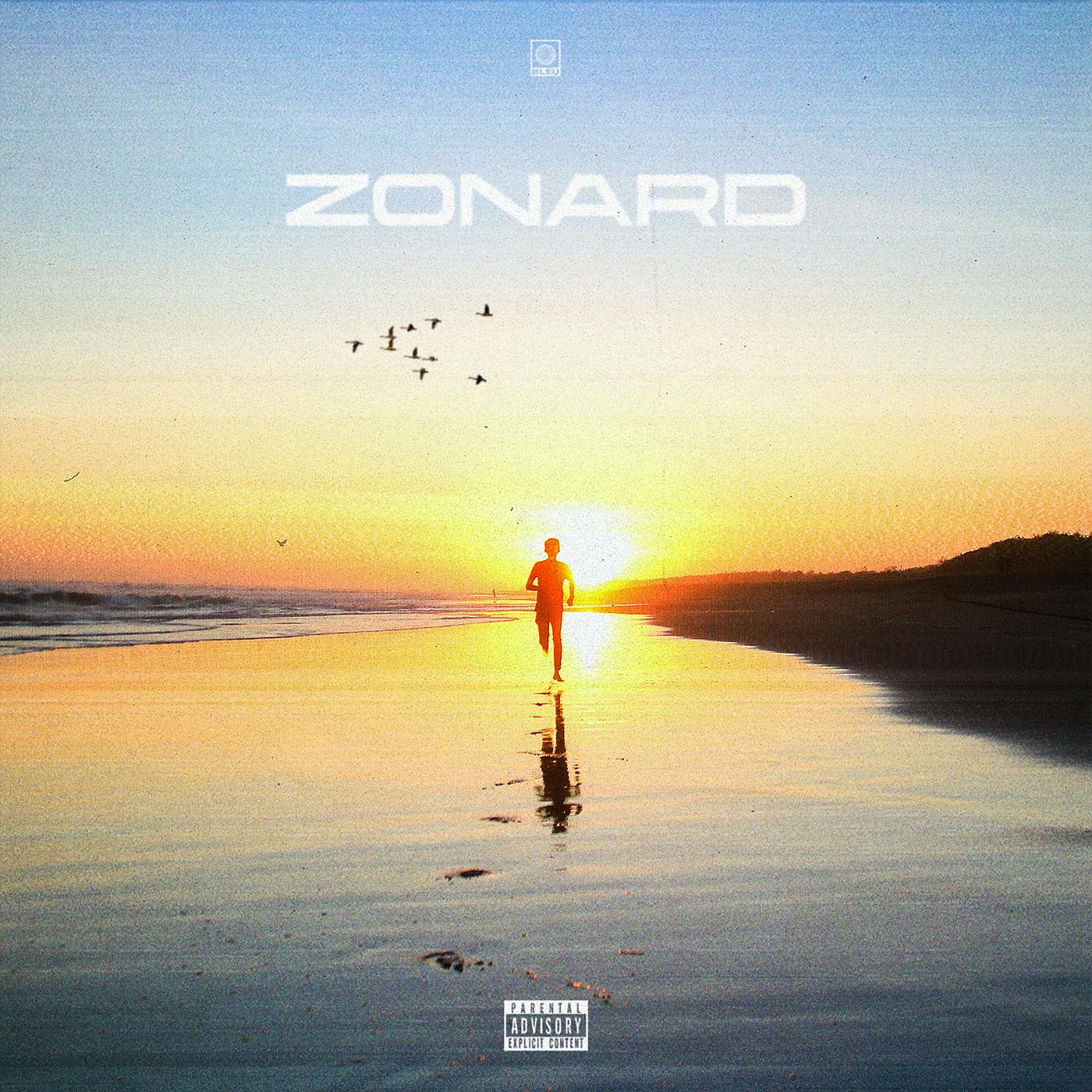 Постер альбома Zonard
