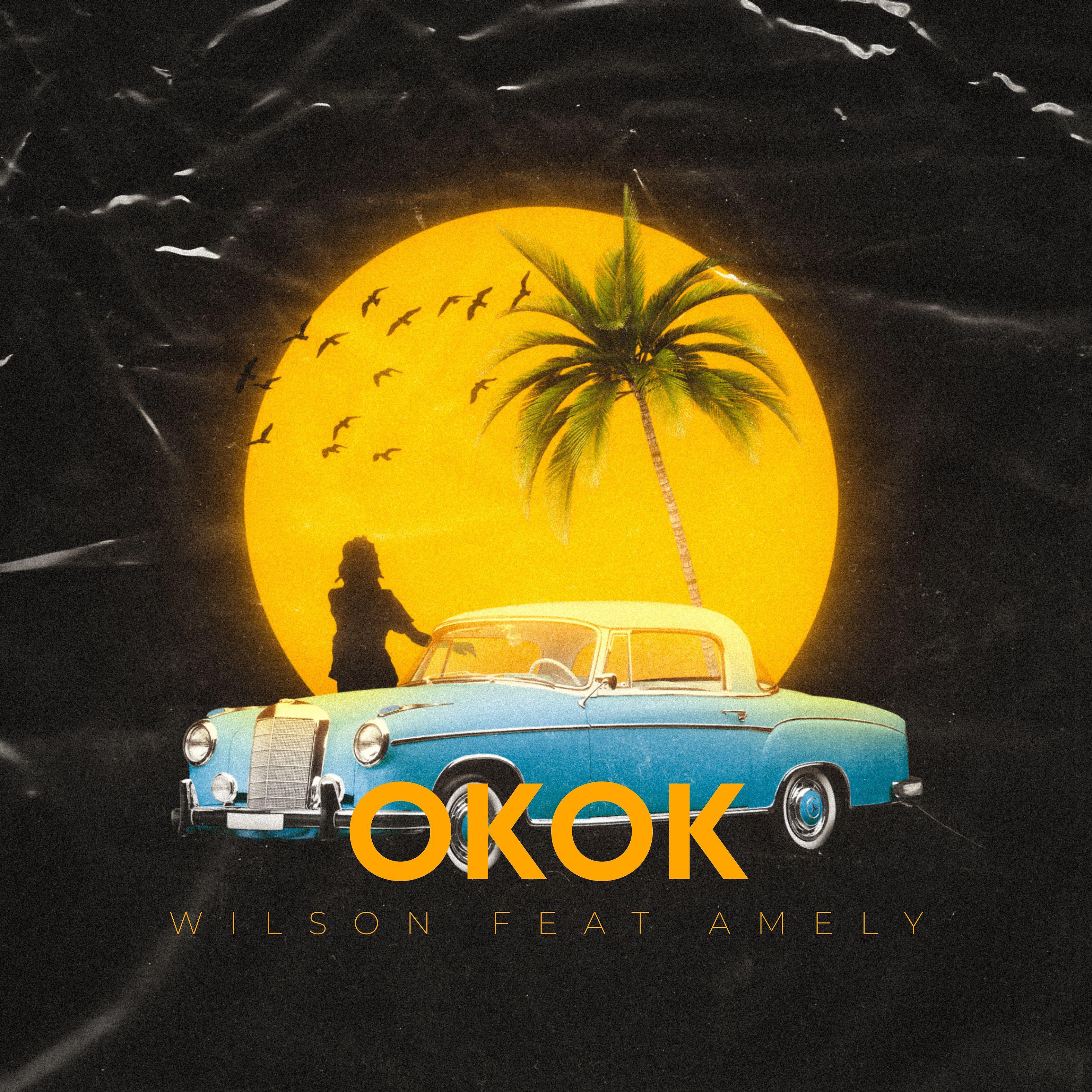 Постер альбома Ok ok