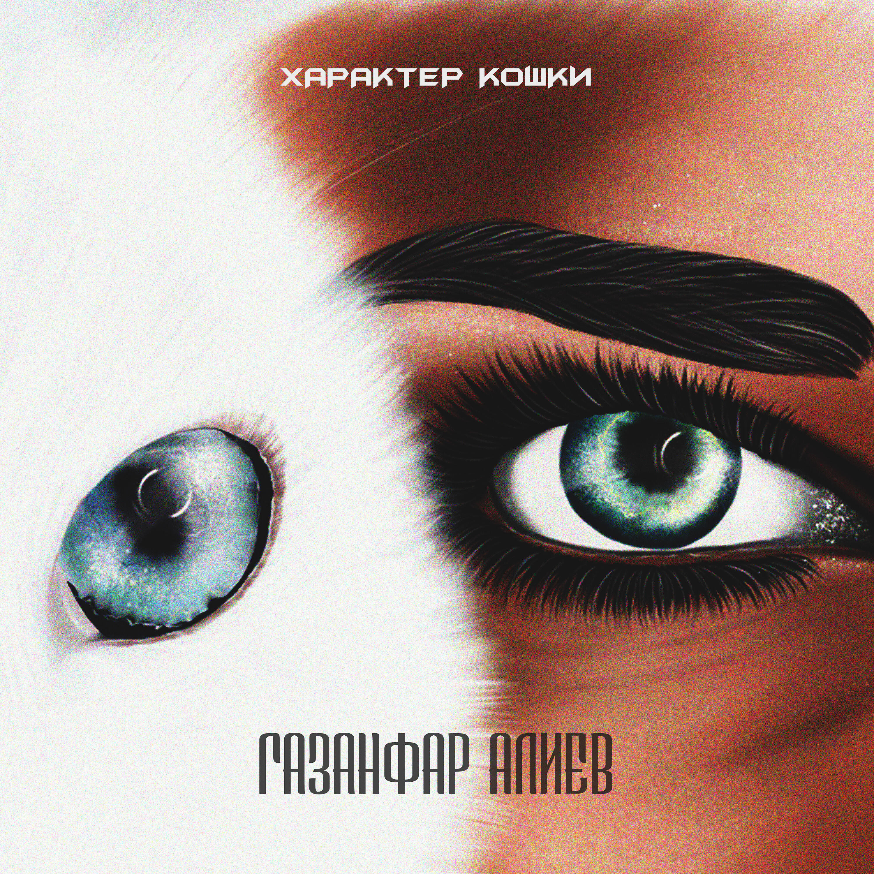 Положение хвоста у кошки. Темперамент кошек. Характер кота. А у нее характер кошки. Описание характера кошки.