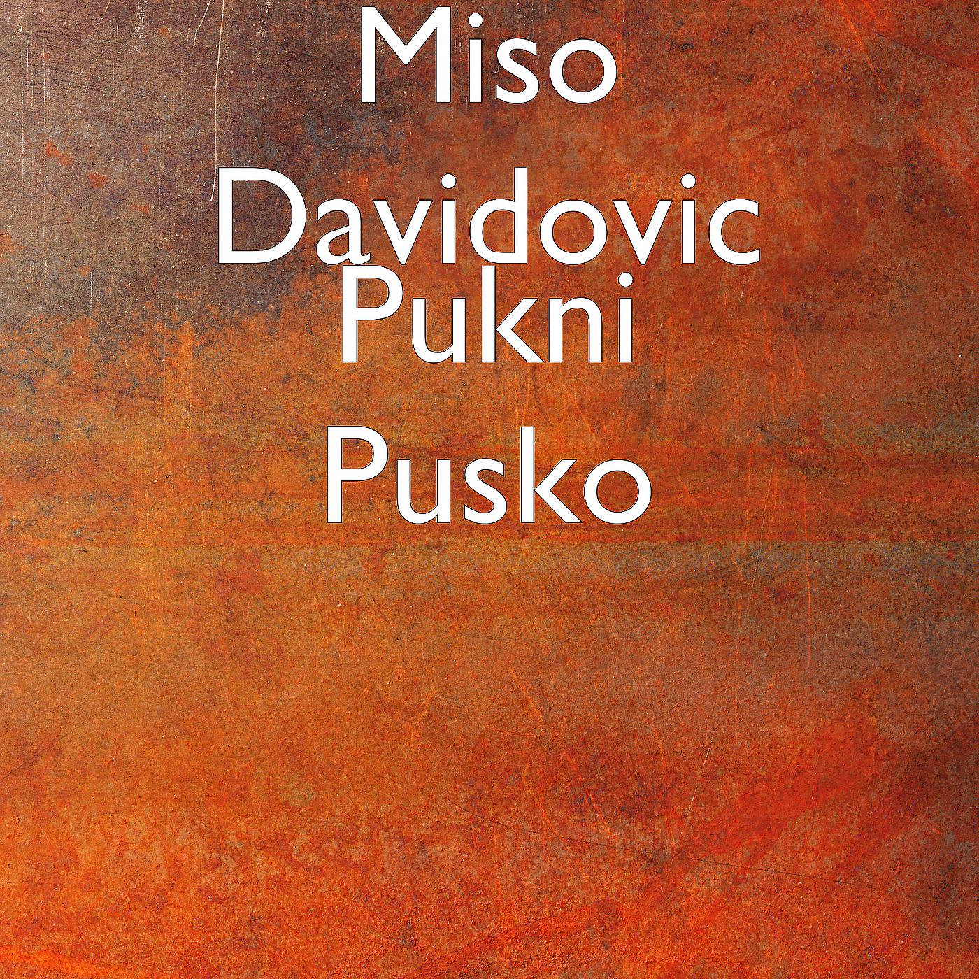 Постер альбома Pukni Pusko