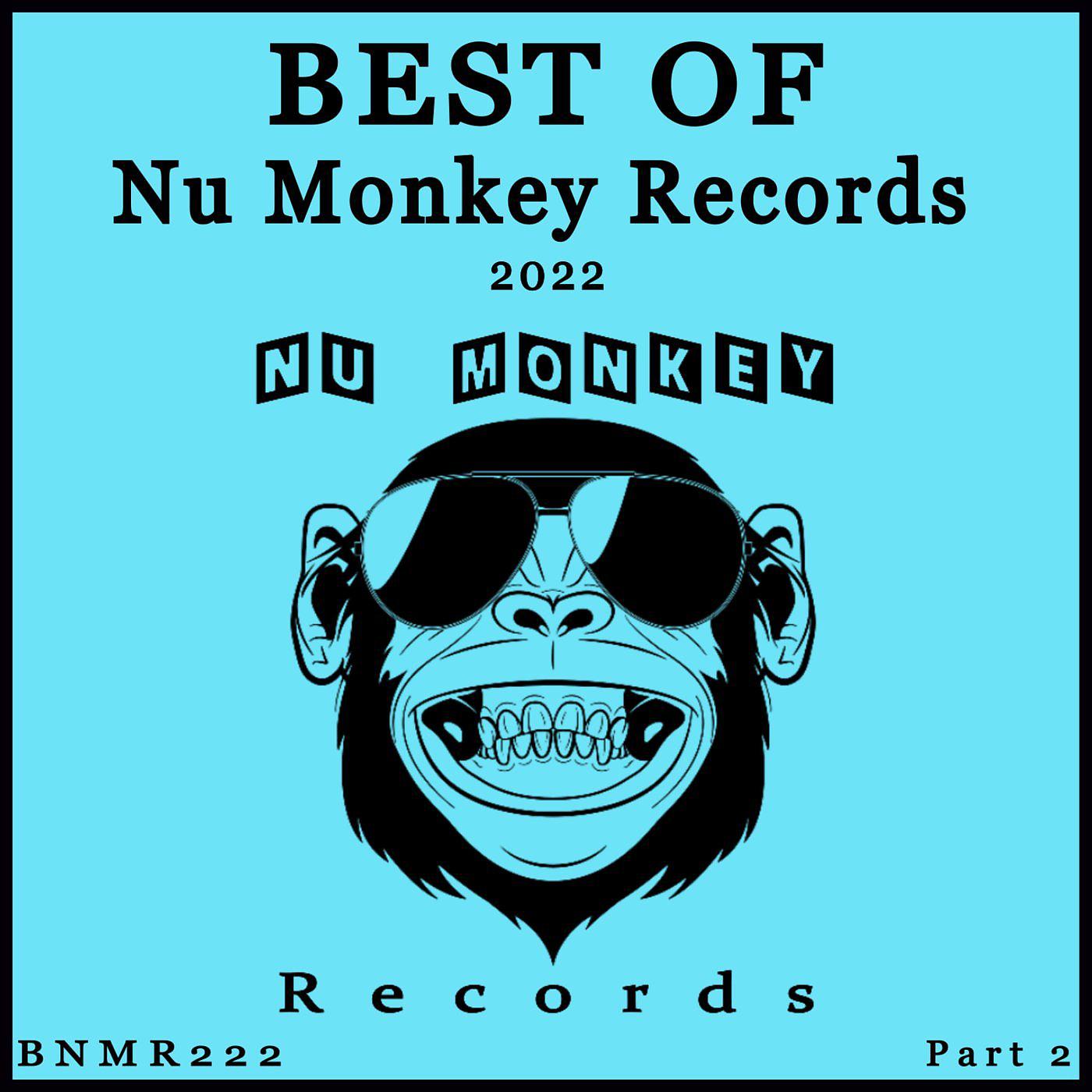 Постер альбома Best Of Nu Monkey Records 2022 Part 2