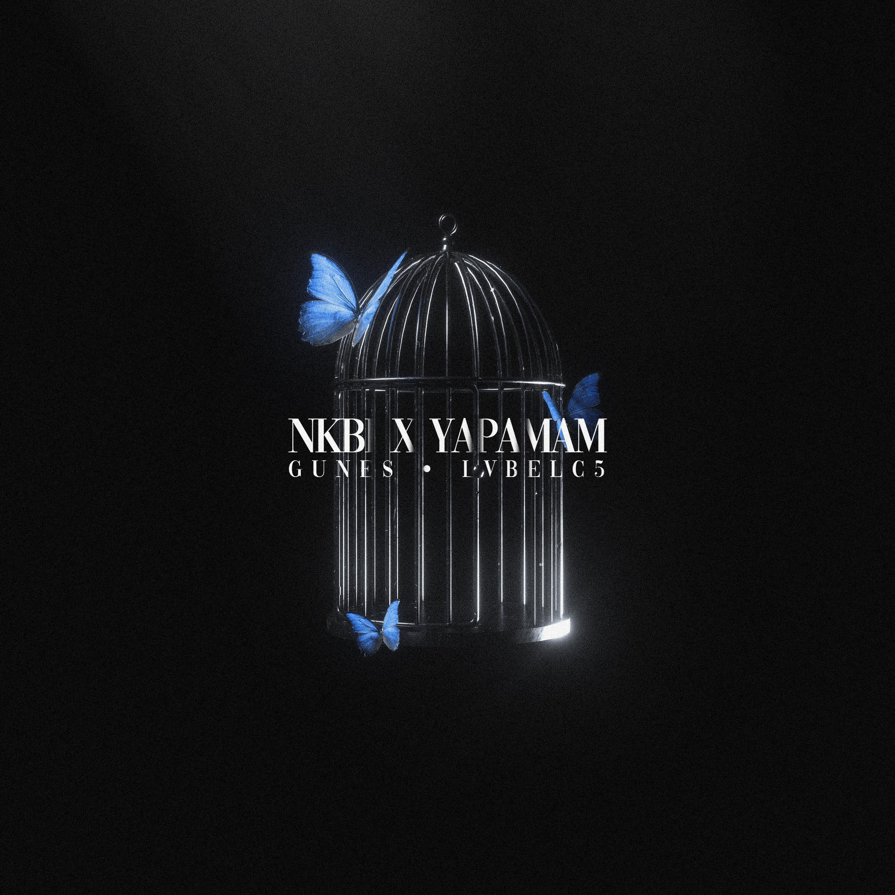 Постер альбома NKBİ X YAPAMAM